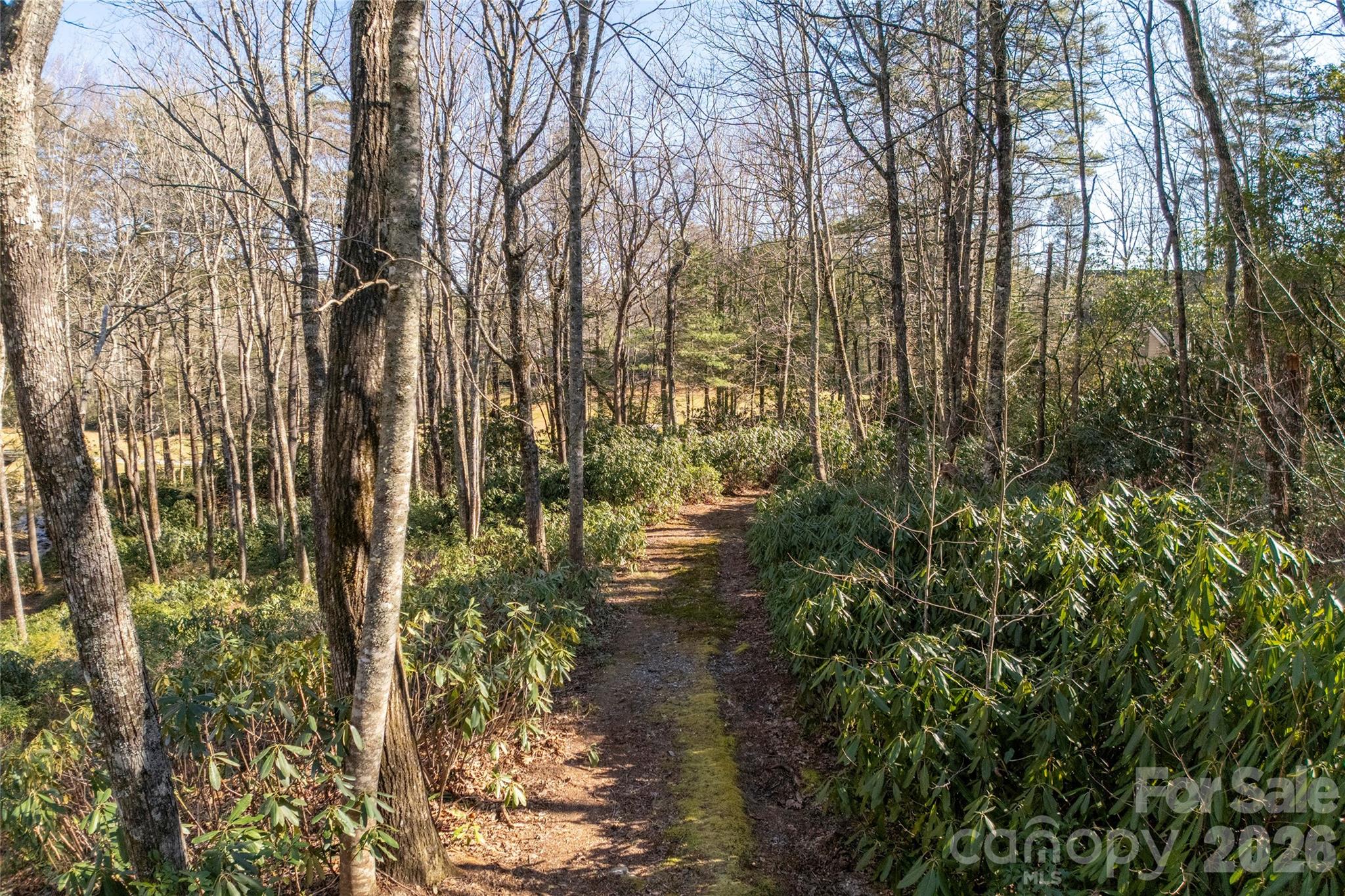 Lake Toxaway Estates - Land