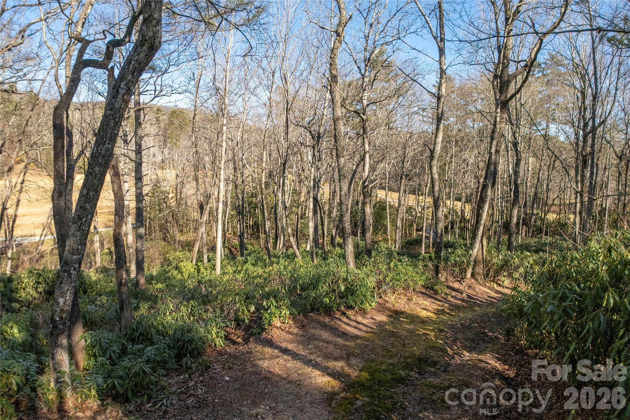 Lake Toxaway Estates - Land