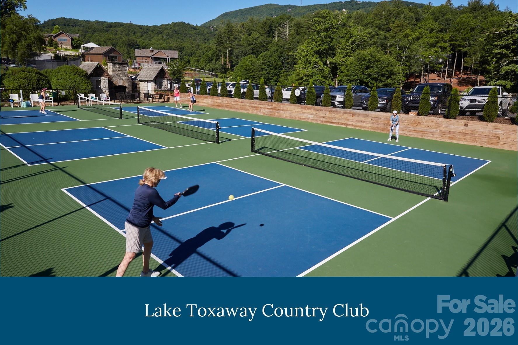 Lake Toxaway Estates - Land