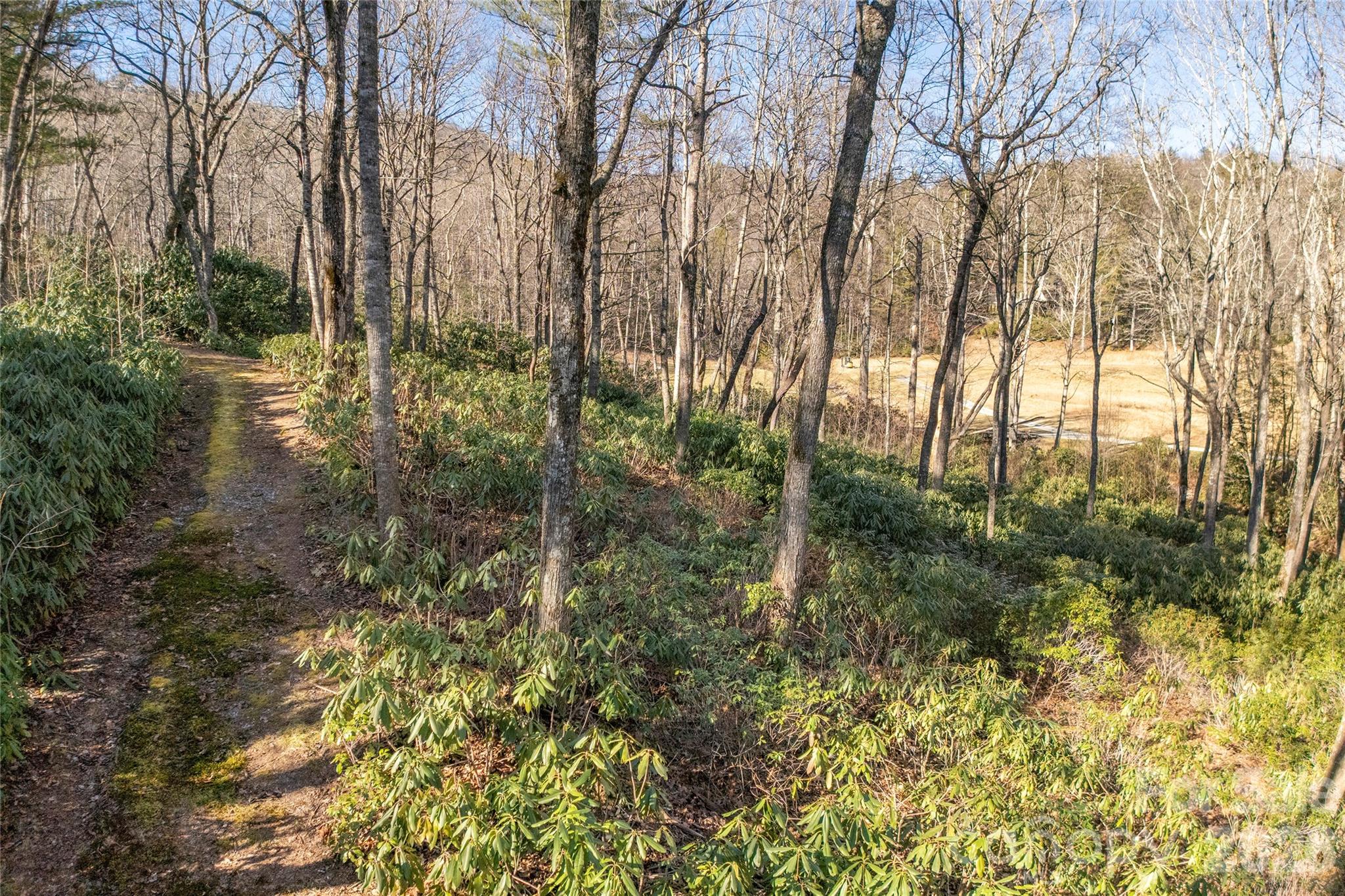 Lake Toxaway Estates - Land