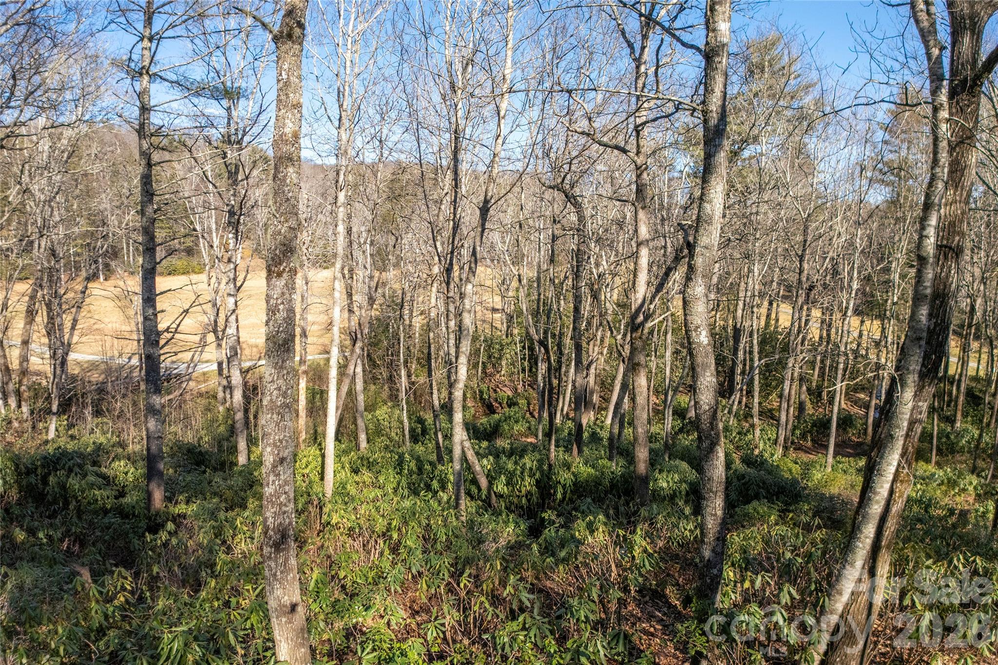 Lake Toxaway Estates - Land