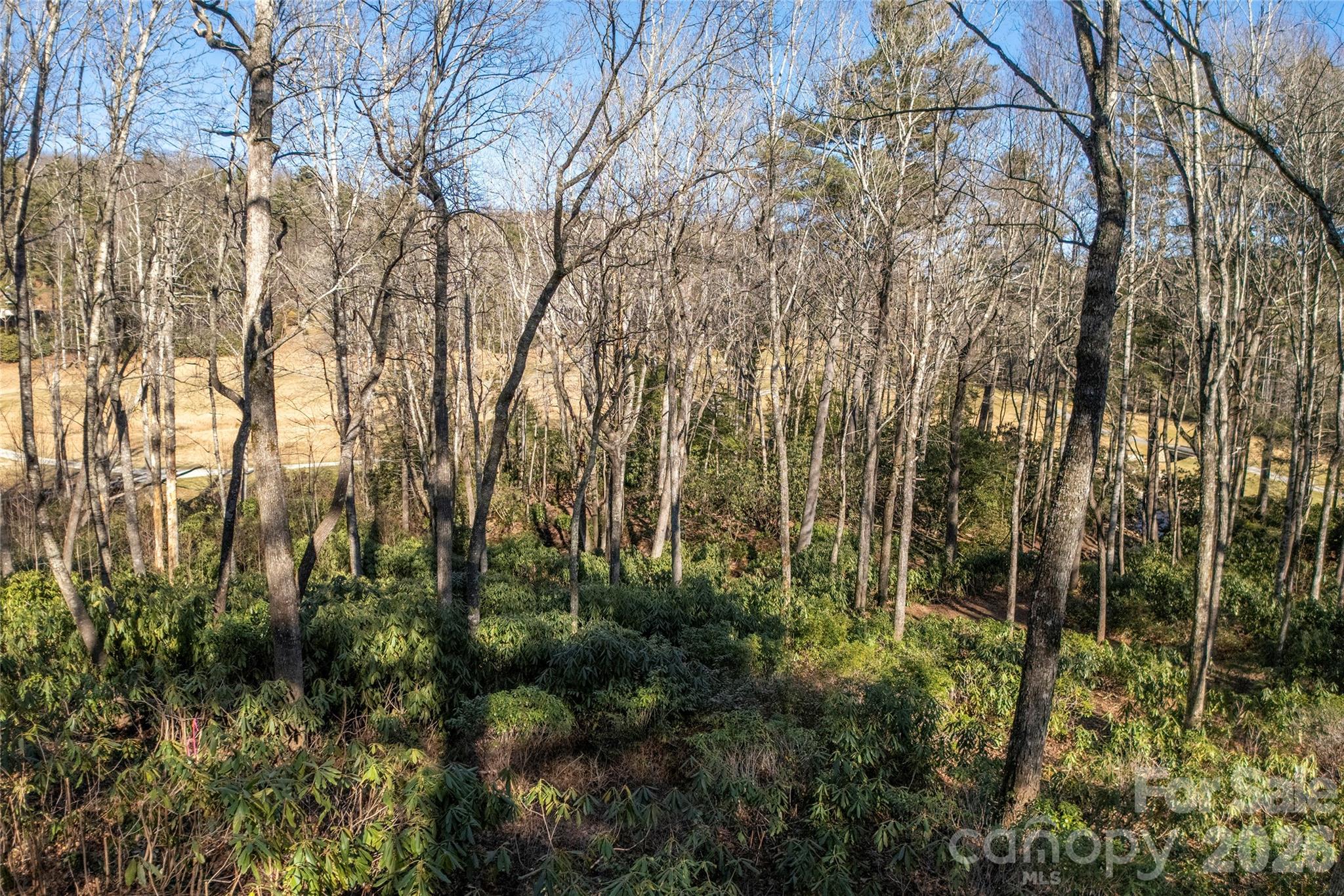 Lake Toxaway Estates - Land