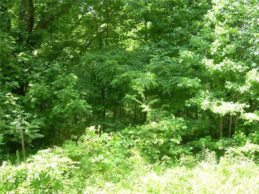 This 1.48-acre parcel is located in the North Cove Township of McDowell County.  This property offers golf course views, mountain views.  There is a creek on the property and runs through the property.  The seller has indicated that there is an old outbuilding on the property but has no value and a well and septic system that went with the outbuilding.  This property is mainly flat to gently sloping.  This property is located close to Linville Caverns, Linville Golf Course, Linville Gorge, Linville Falls and Tom's Creek Falls.  This property is a short drive to Mount Mitchell State Park which is the highest peak East of the Mississippi River.  This property is located close to Marion which offers an array of shopping, dining, festivals and more.  This property has NO RESTRICTIONS and has a multitude of uses.