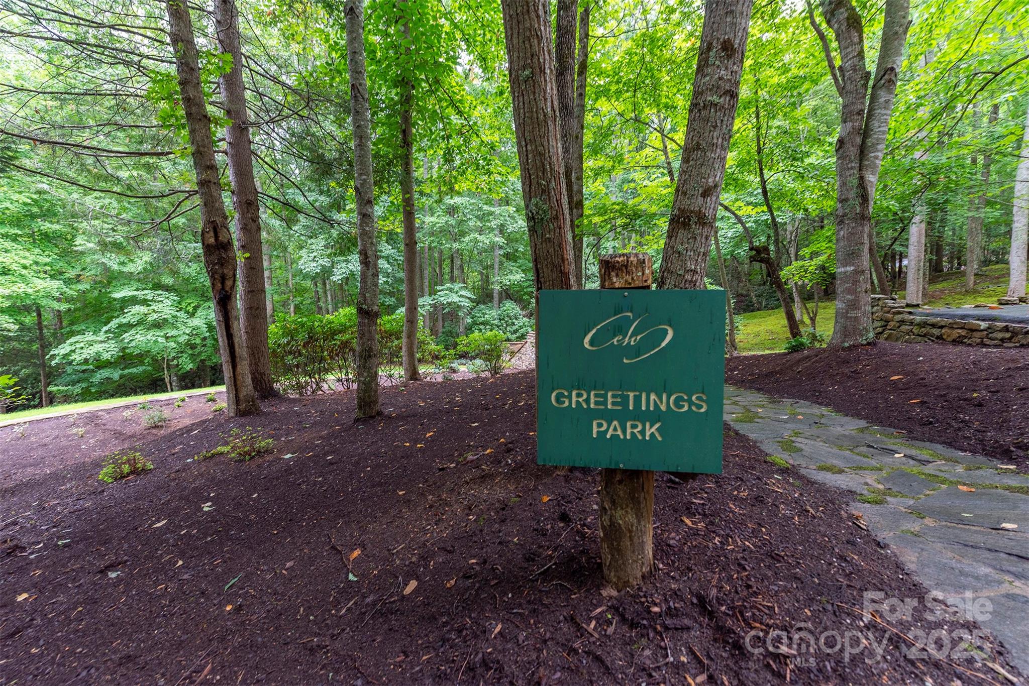 THE COVE AT CELO MOUNTAIN - Land