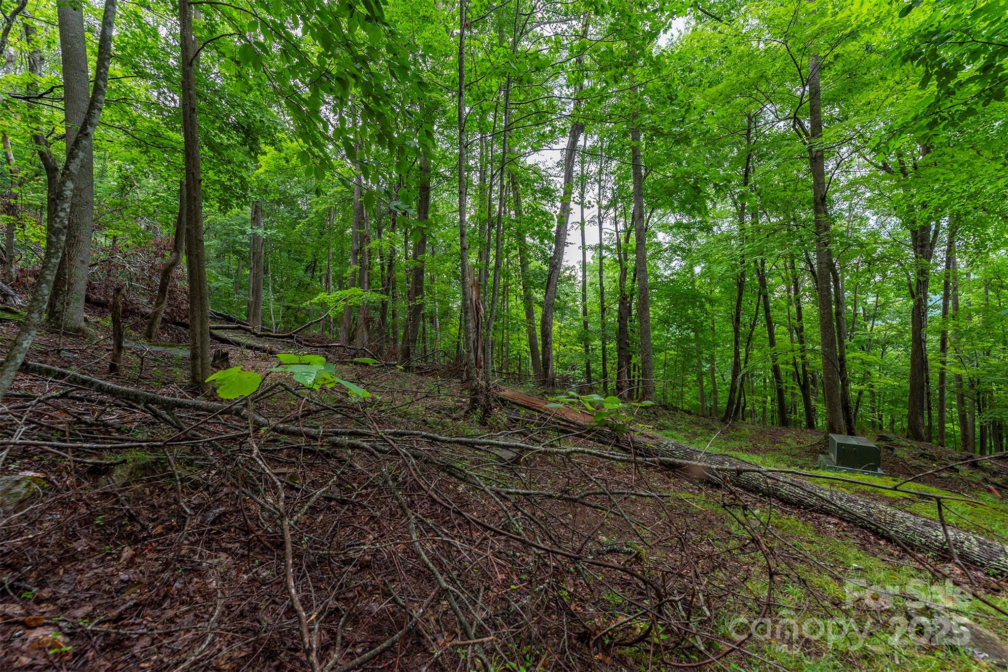 THE COVE AT CELO MOUNTAIN - Land