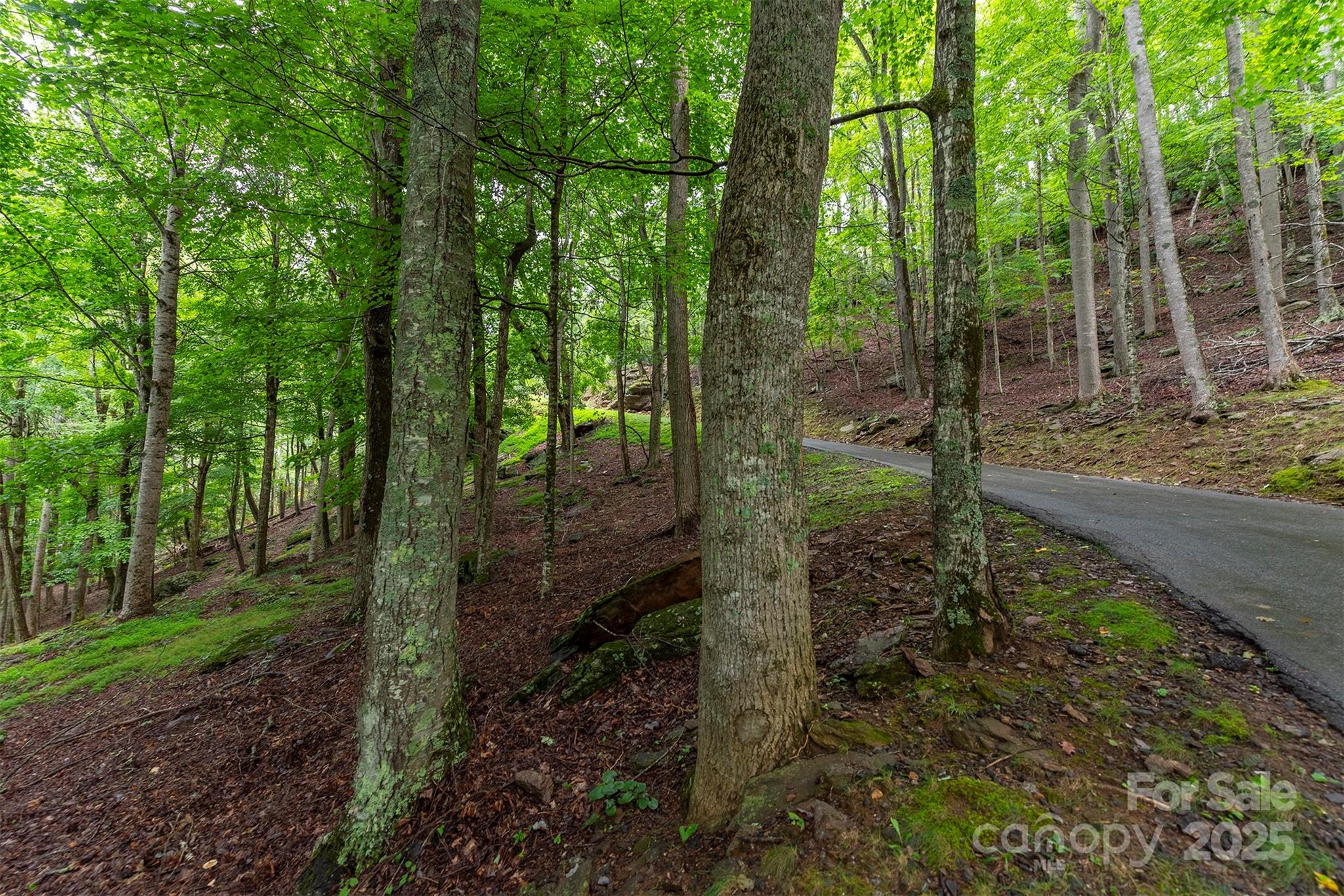 THE COVE AT CELO MOUNTAIN - Land