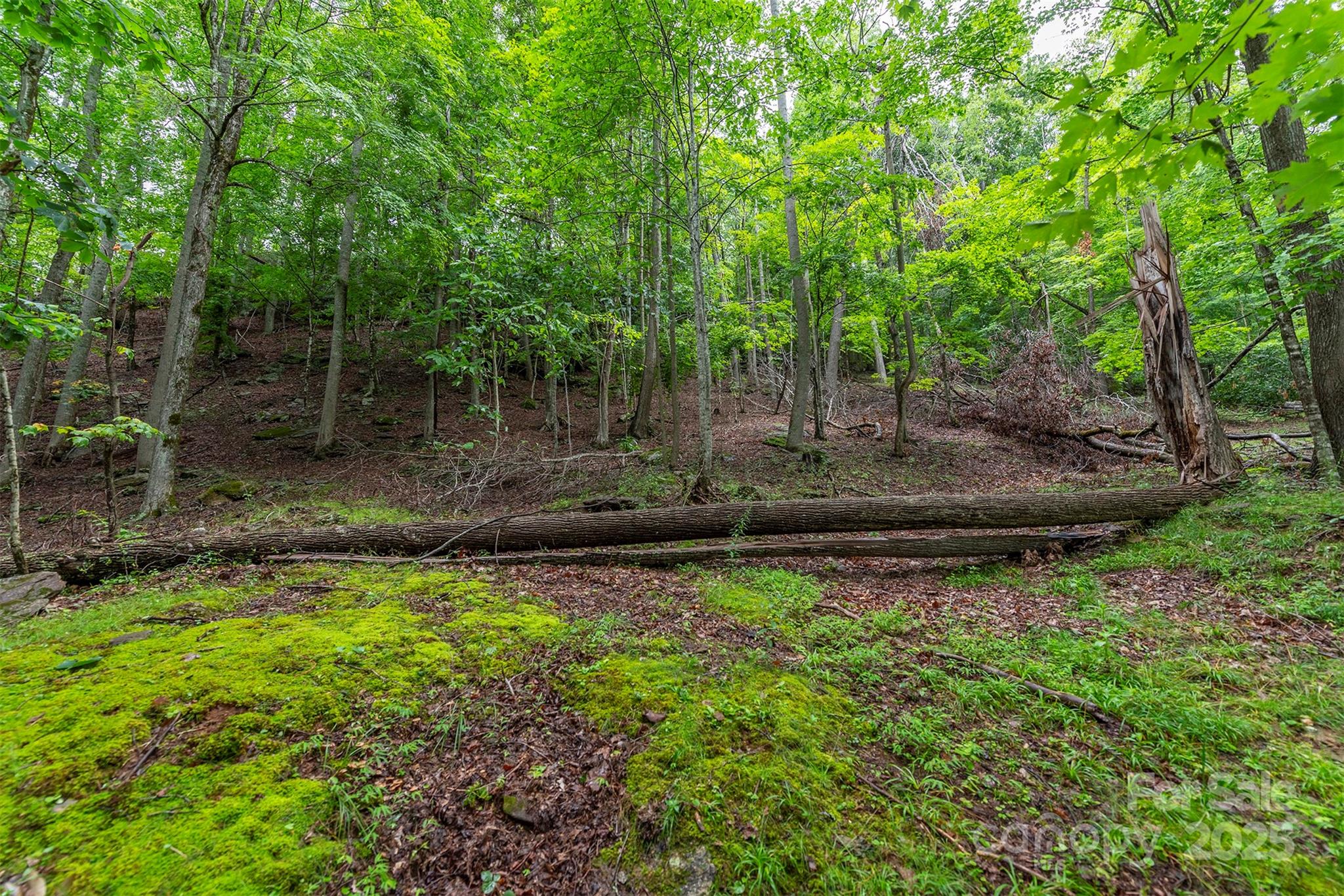 THE COVE AT CELO MOUNTAIN - Land