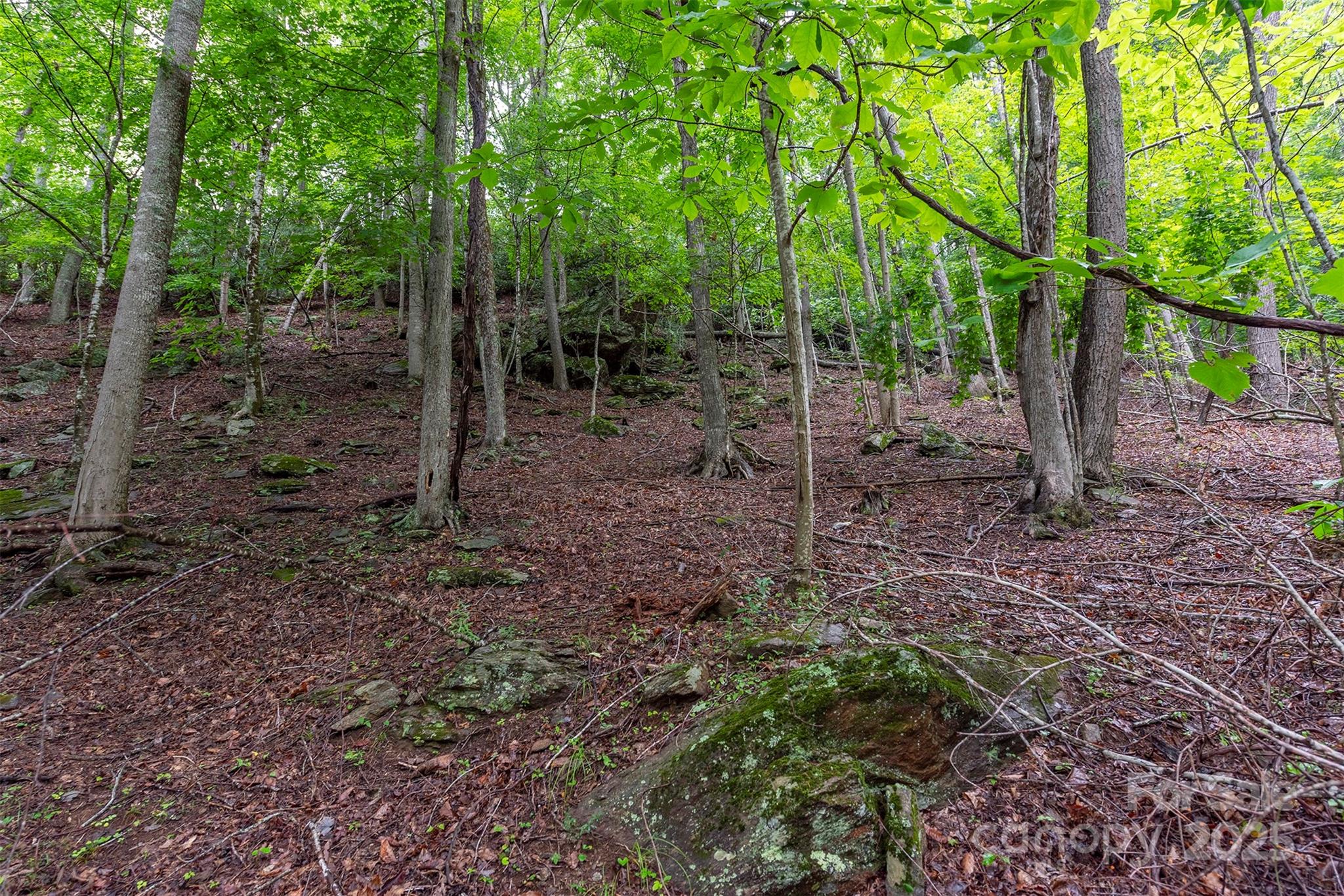 25 Hickory Springs Road 25