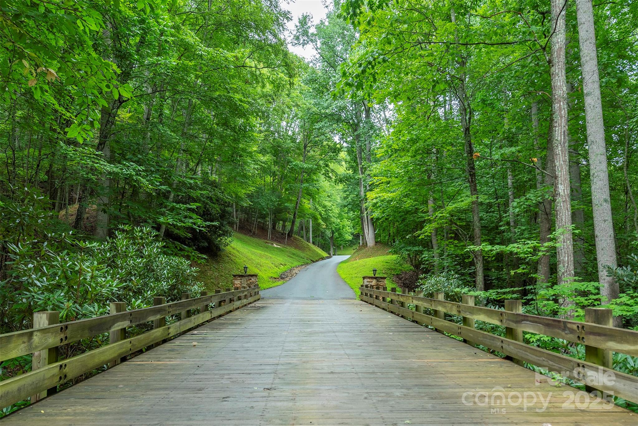 THE COVE AT CELO MOUNTAIN - Land