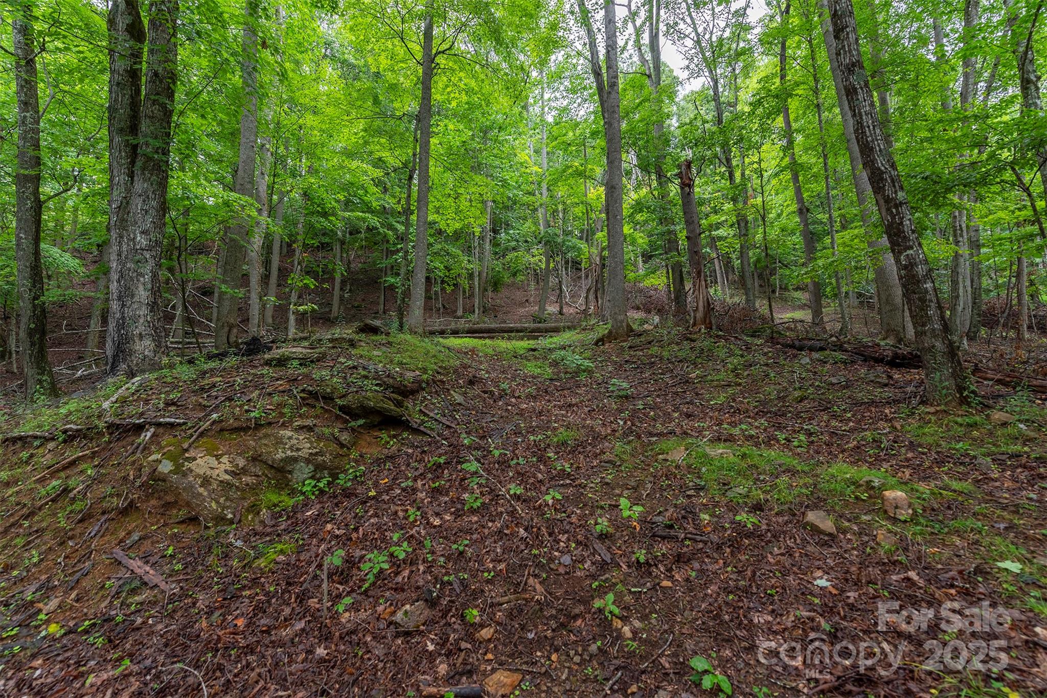 THE COVE AT CELO MOUNTAIN - Land