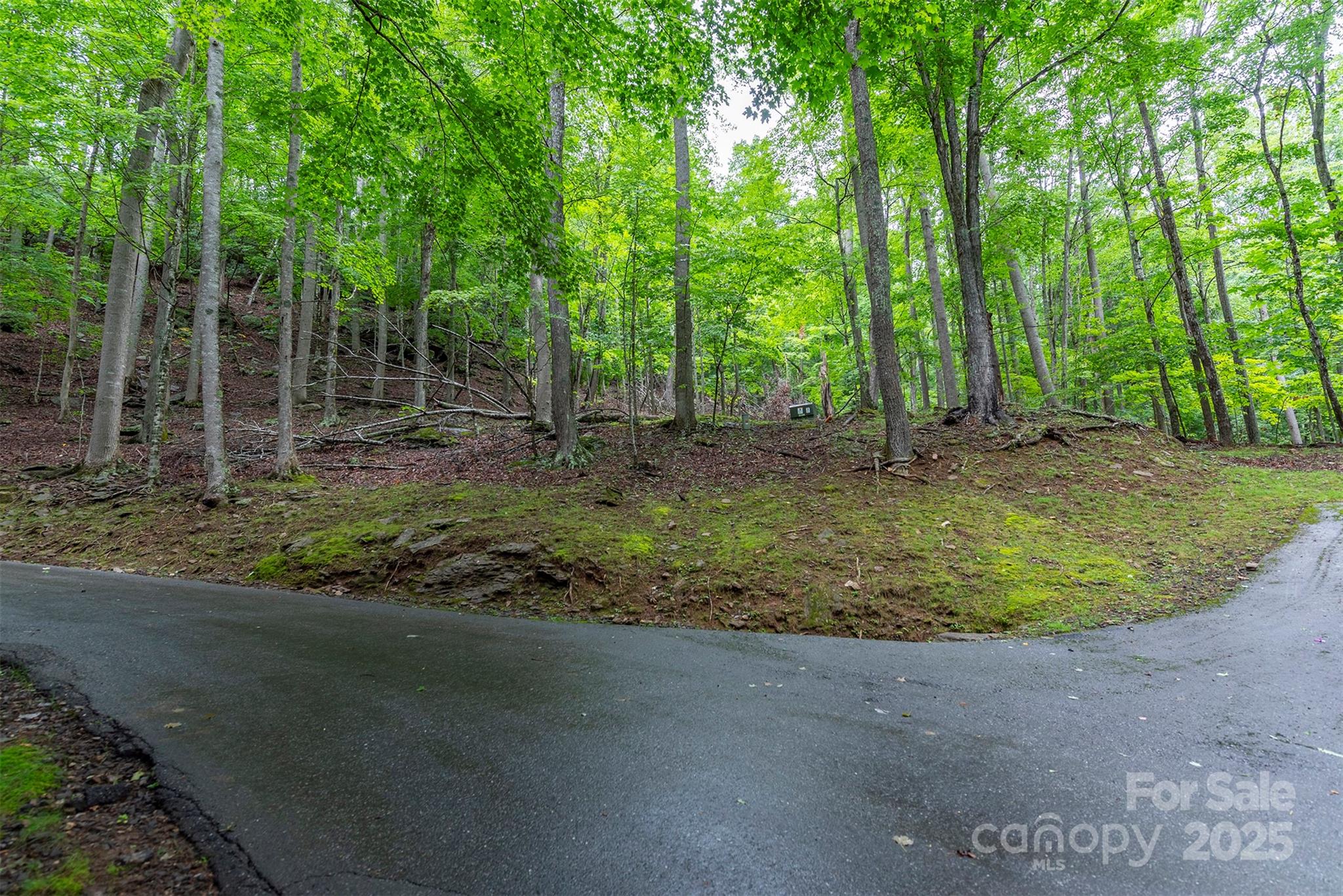 THE COVE AT CELO MOUNTAIN - Land