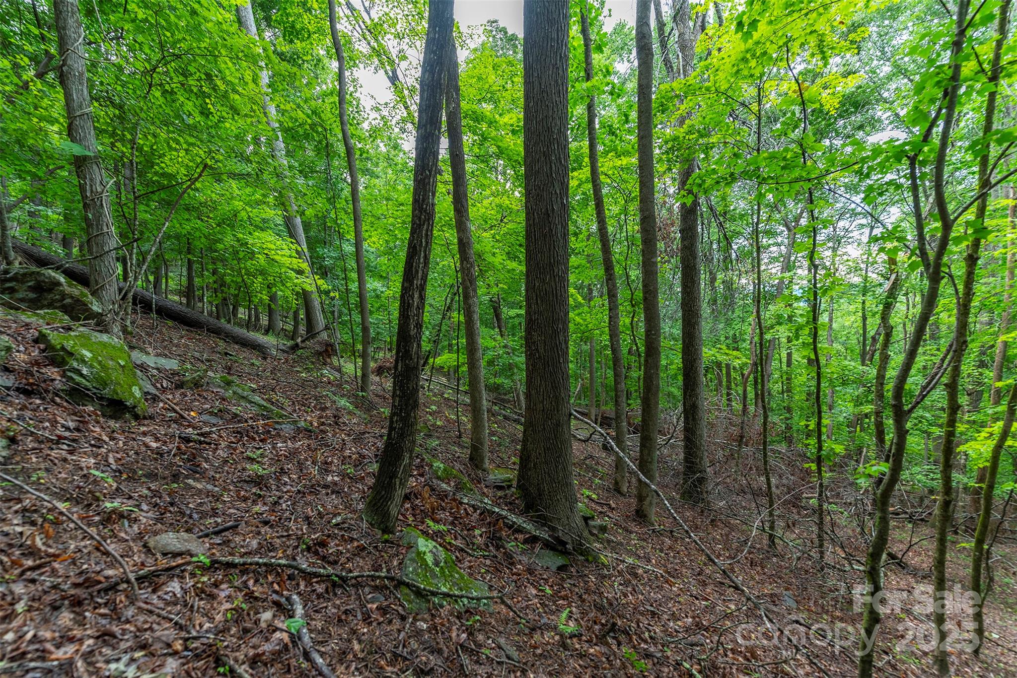 THE COVE AT CELO MOUNTAIN - Land