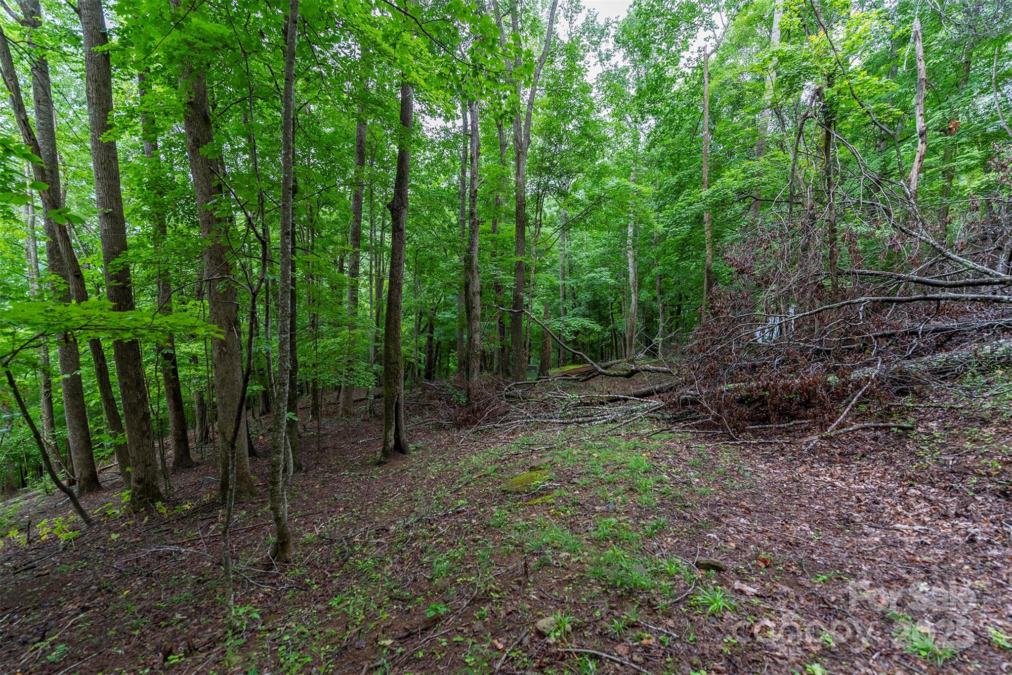 THE COVE AT CELO MOUNTAIN - Land