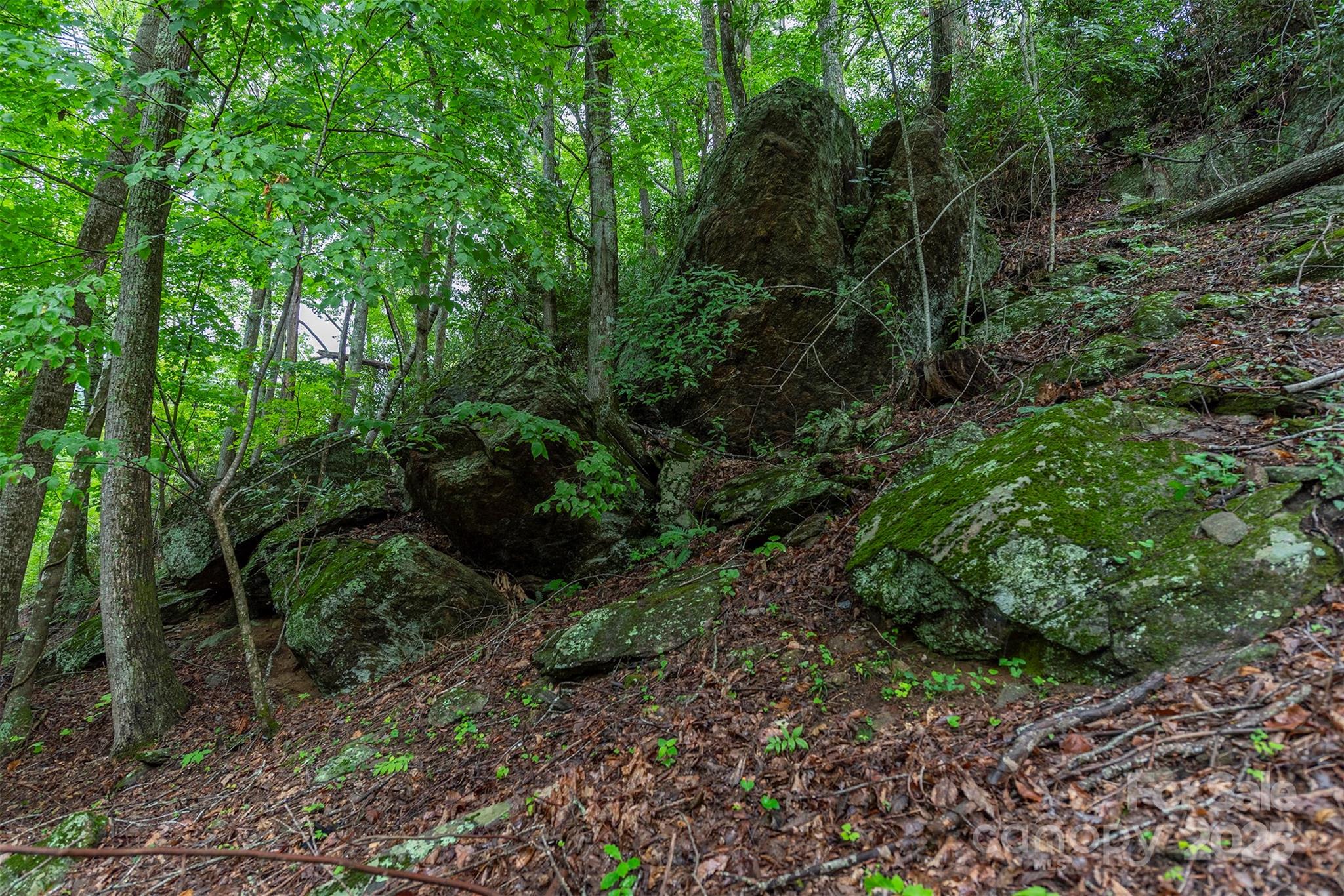 THE COVE AT CELO MOUNTAIN - Land