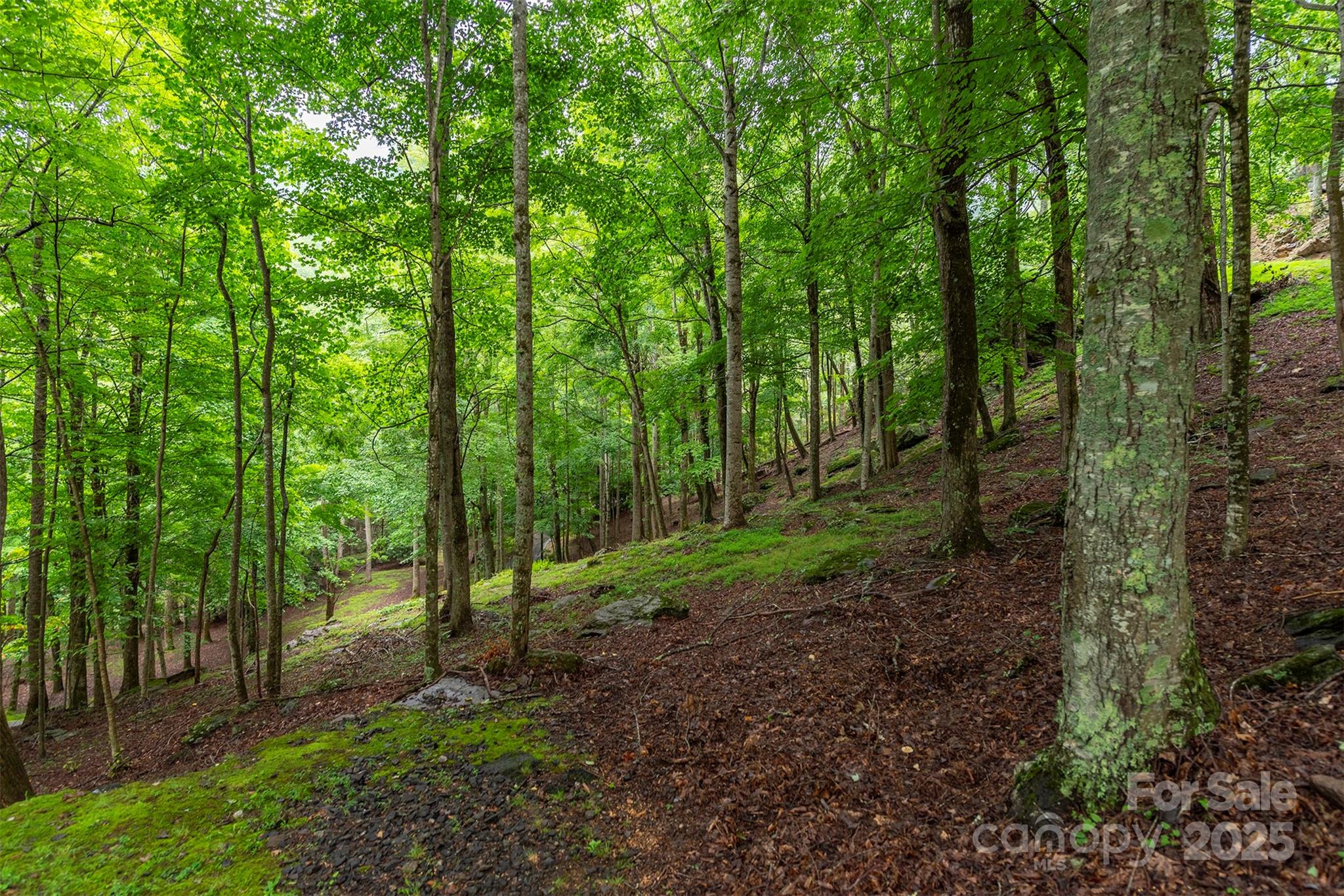 THE COVE AT CELO MOUNTAIN - Land