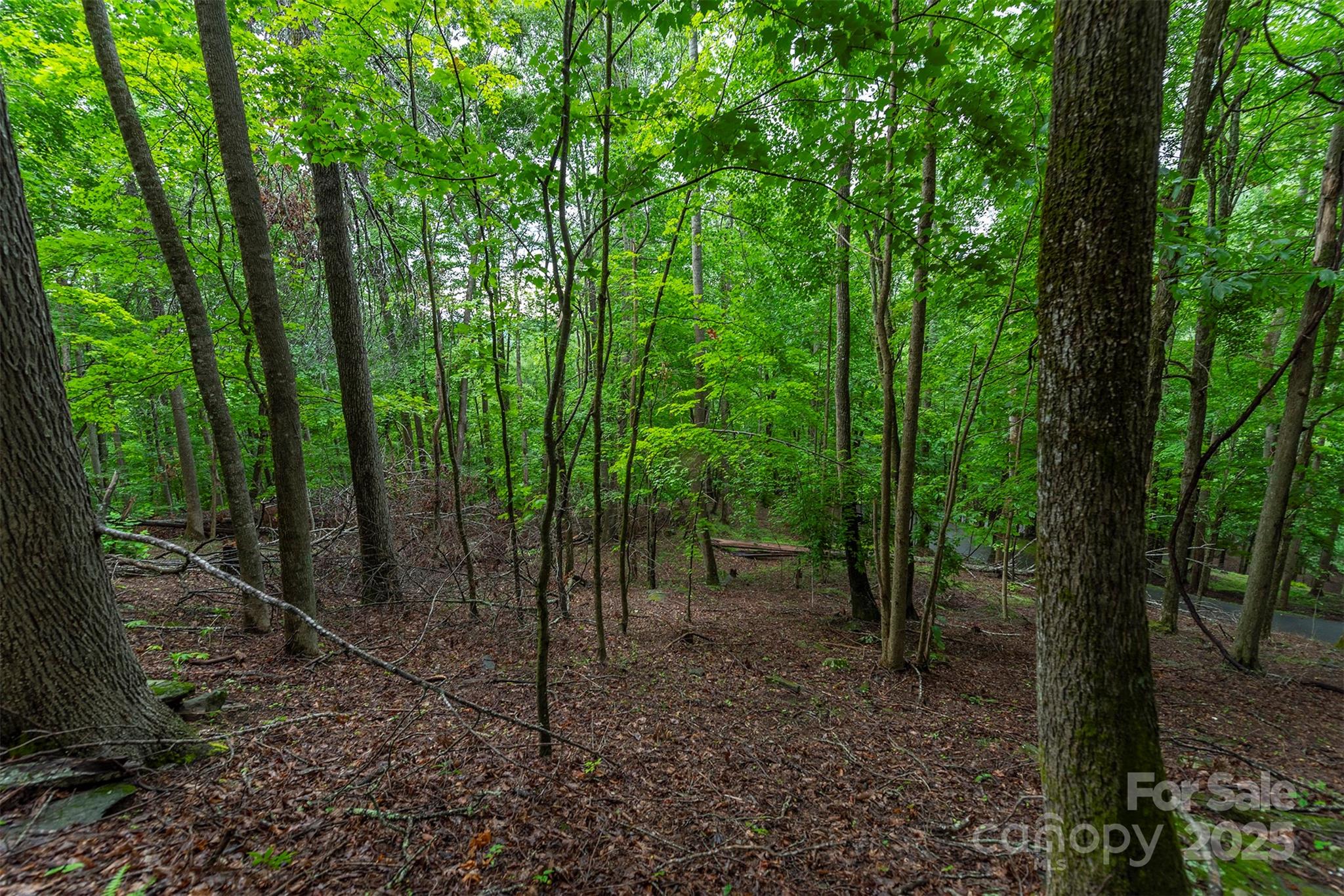 THE COVE AT CELO MOUNTAIN - Land