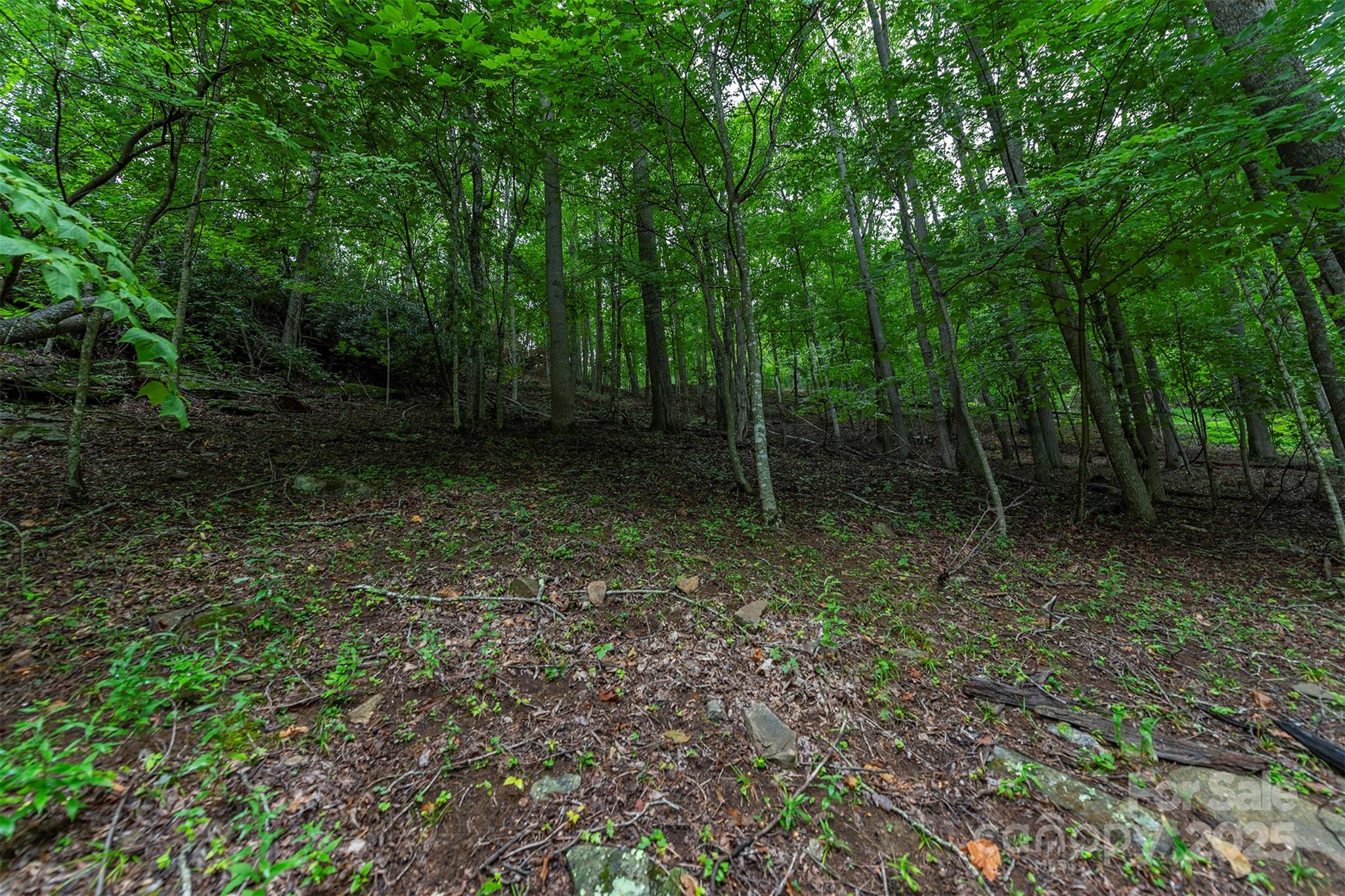 THE COVE AT CELO MOUNTAIN - Land