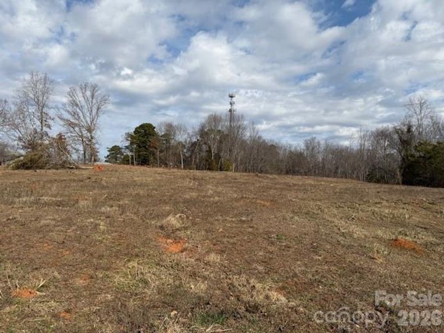 210 Acres in Catawba County! Fantastic development opportunity with city water available at the street. Conveniently located near Microsoft's new property, NC Hwy 10, Hwy 321, Targe Distribution Center, and more! Prime location with endless potential. The seller is not willing to separate this tract, they wish to sell it all together. This property is within 1/2 mile of a VAD.