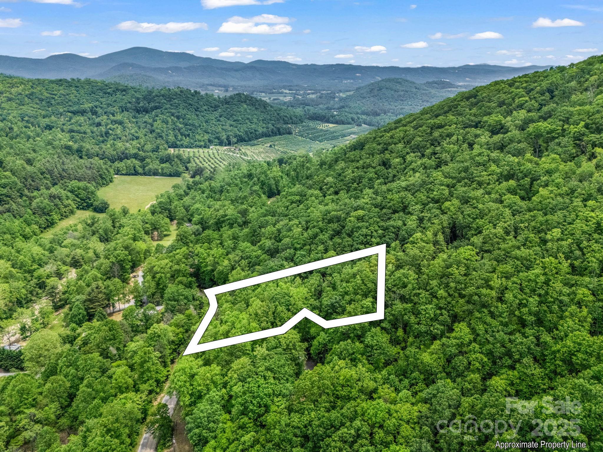 999 Bearwallow Mountain Road