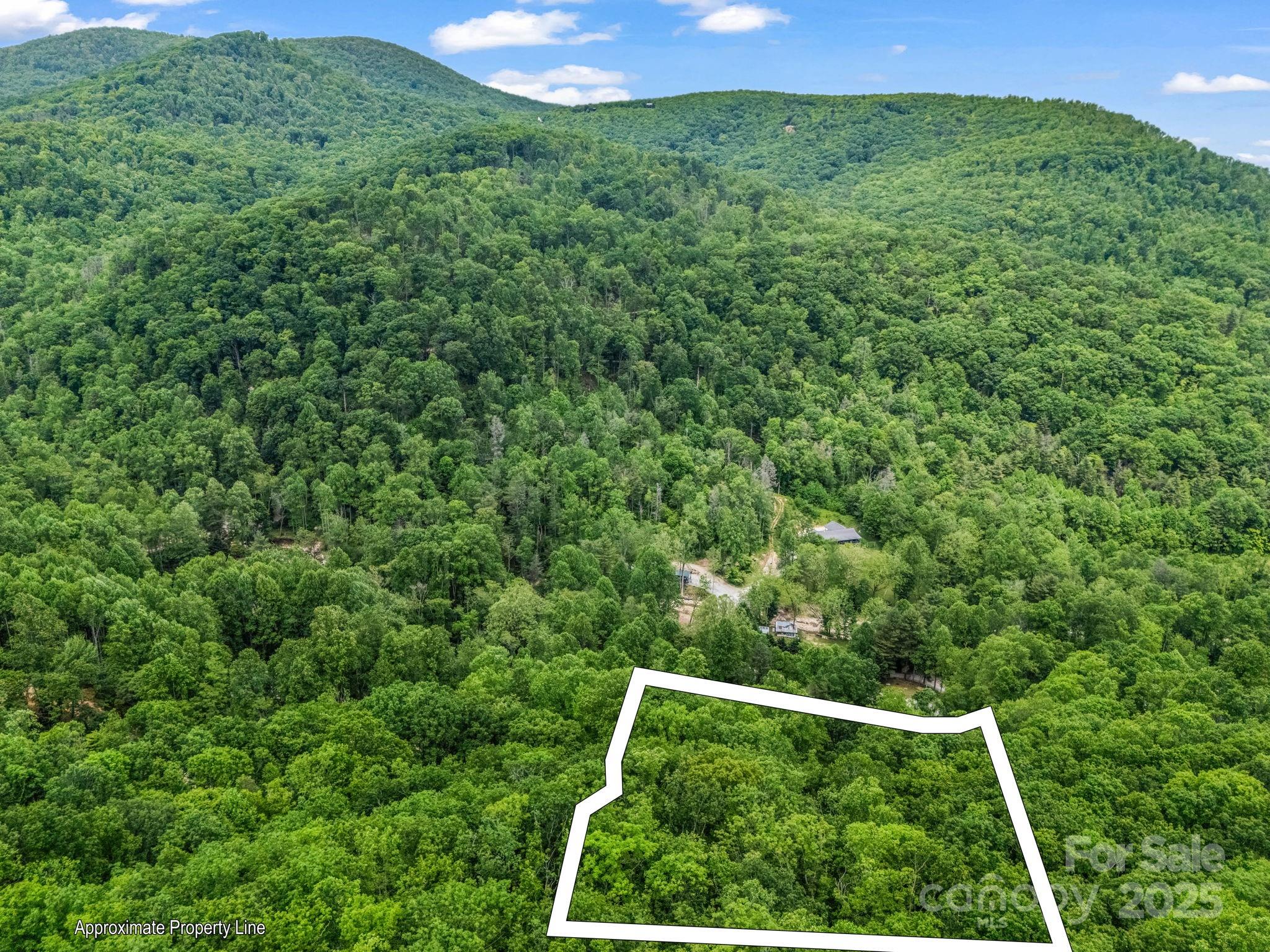 999 Bearwallow Mountain Road