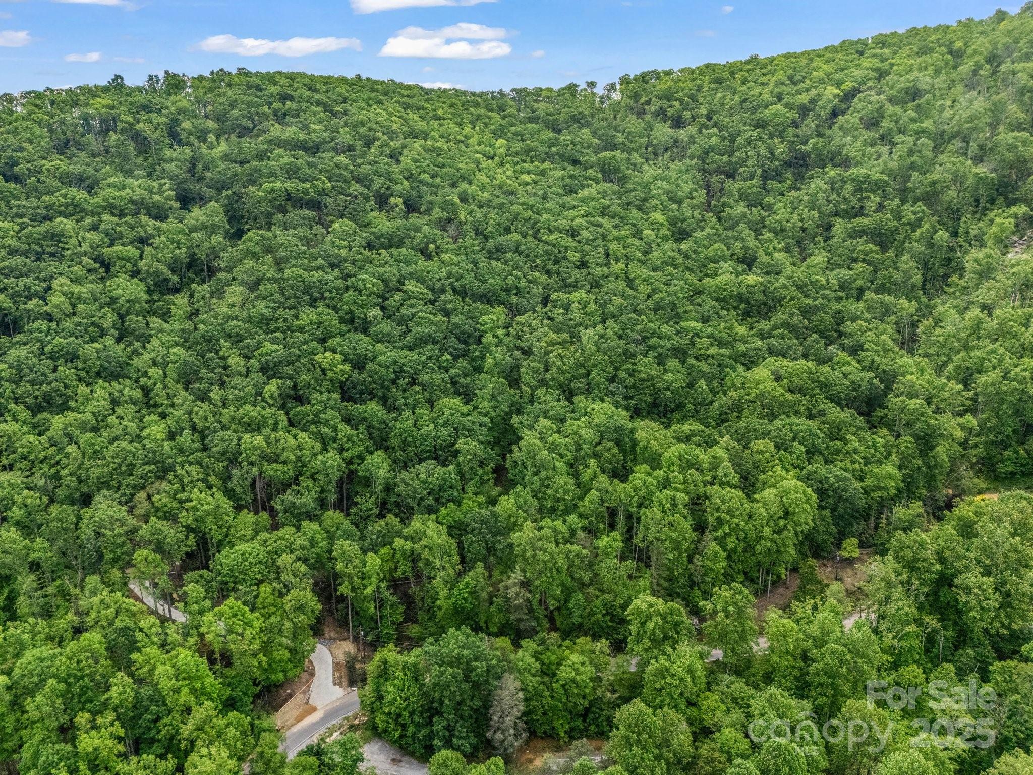 999 Bearwallow Mountain Road