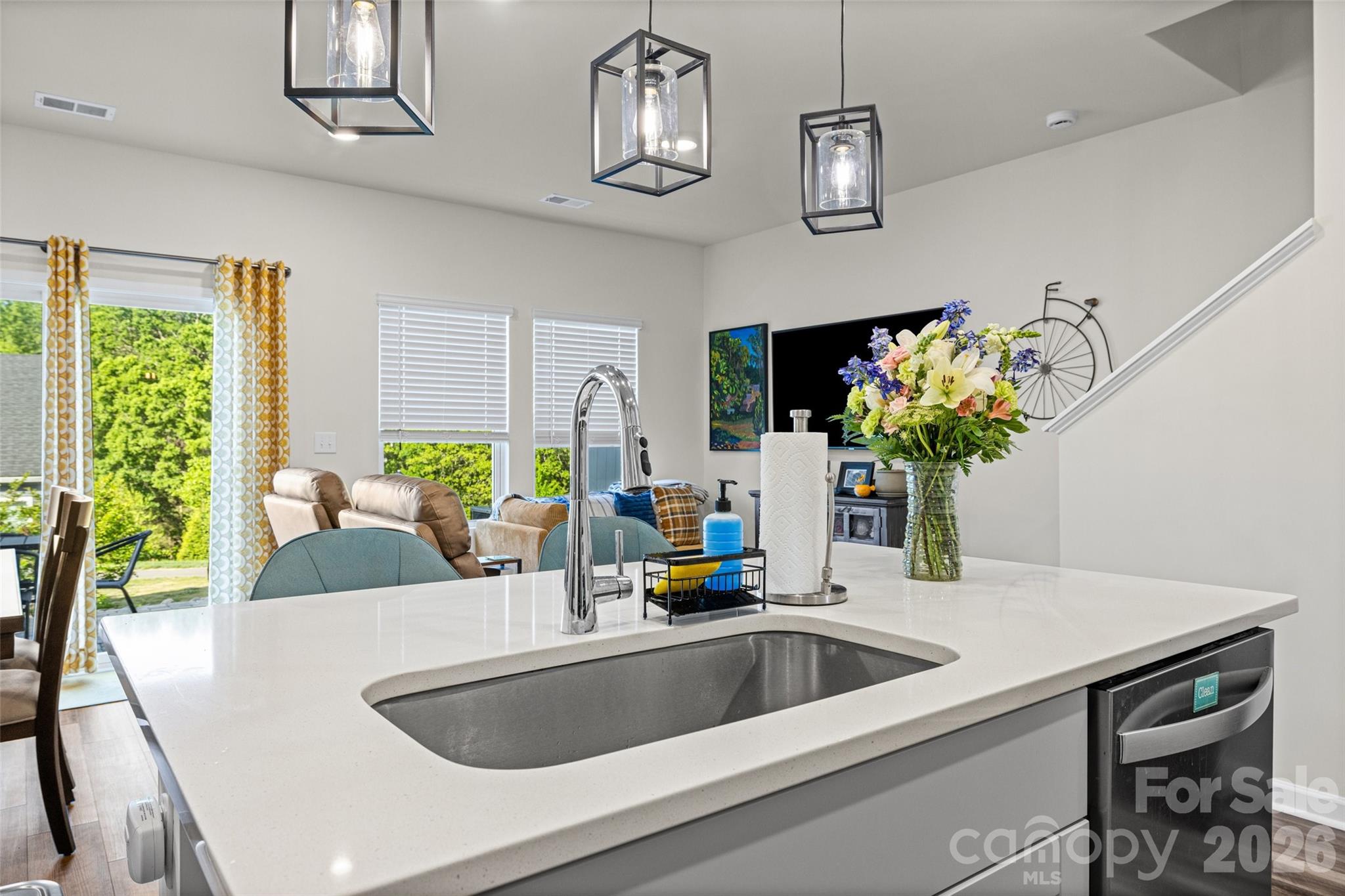 Ashe Downs Townhomes - Residential