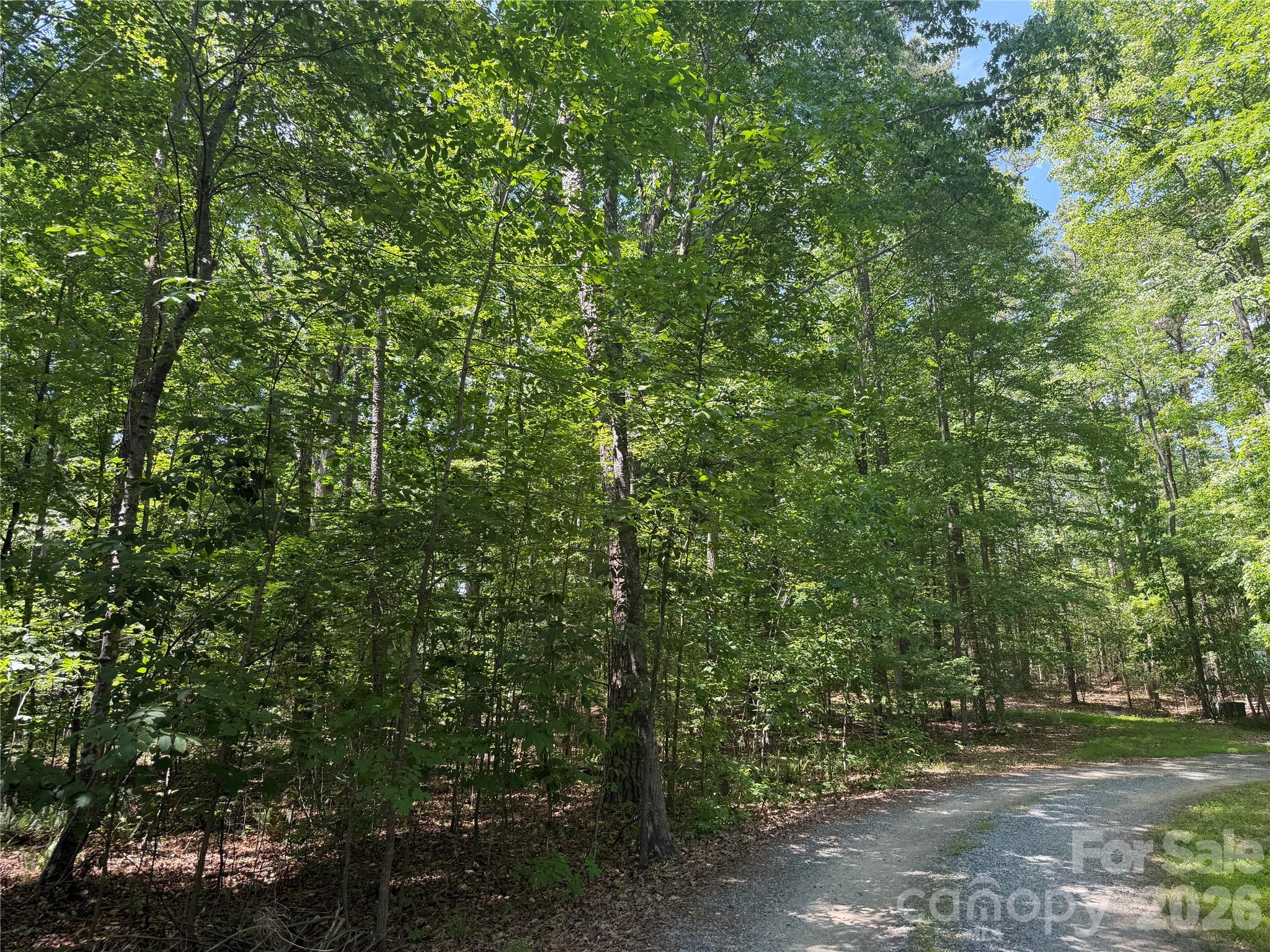 Moores Park - Land