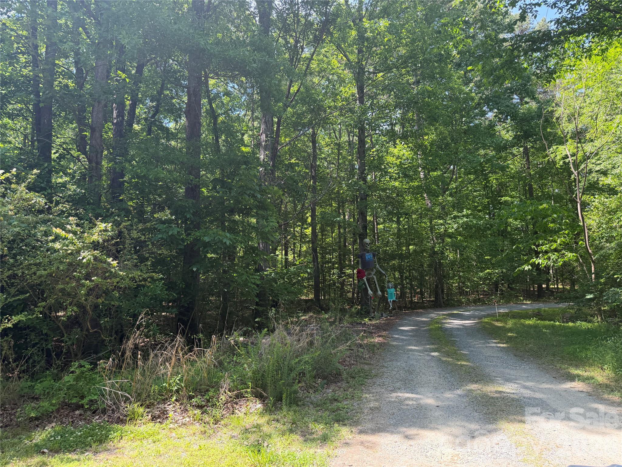 Moores Park - Land