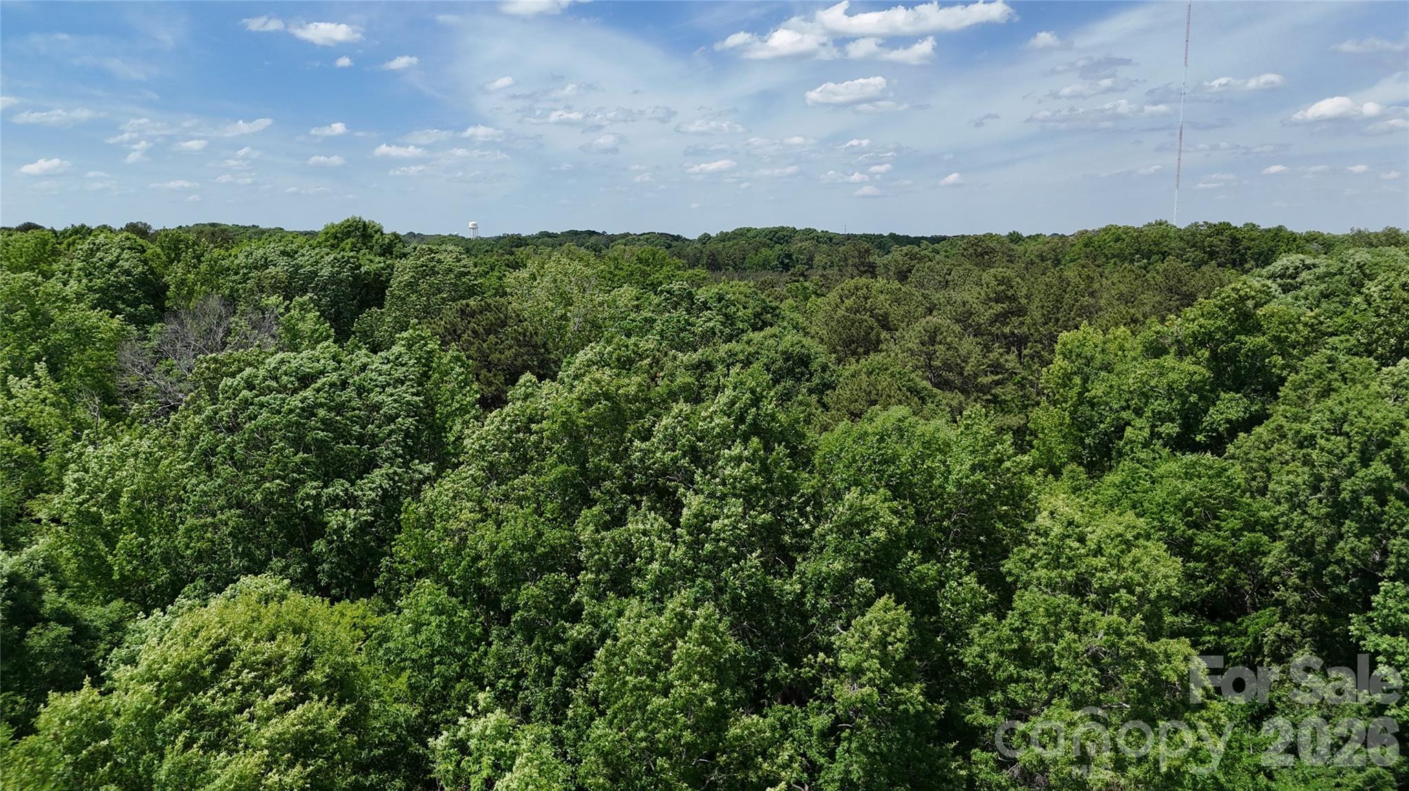 Moores Park - Land
