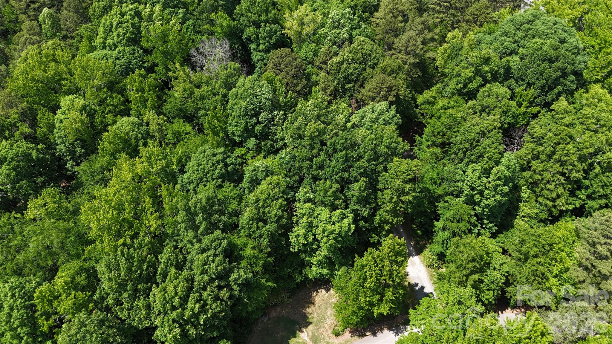 Moores Park - Land