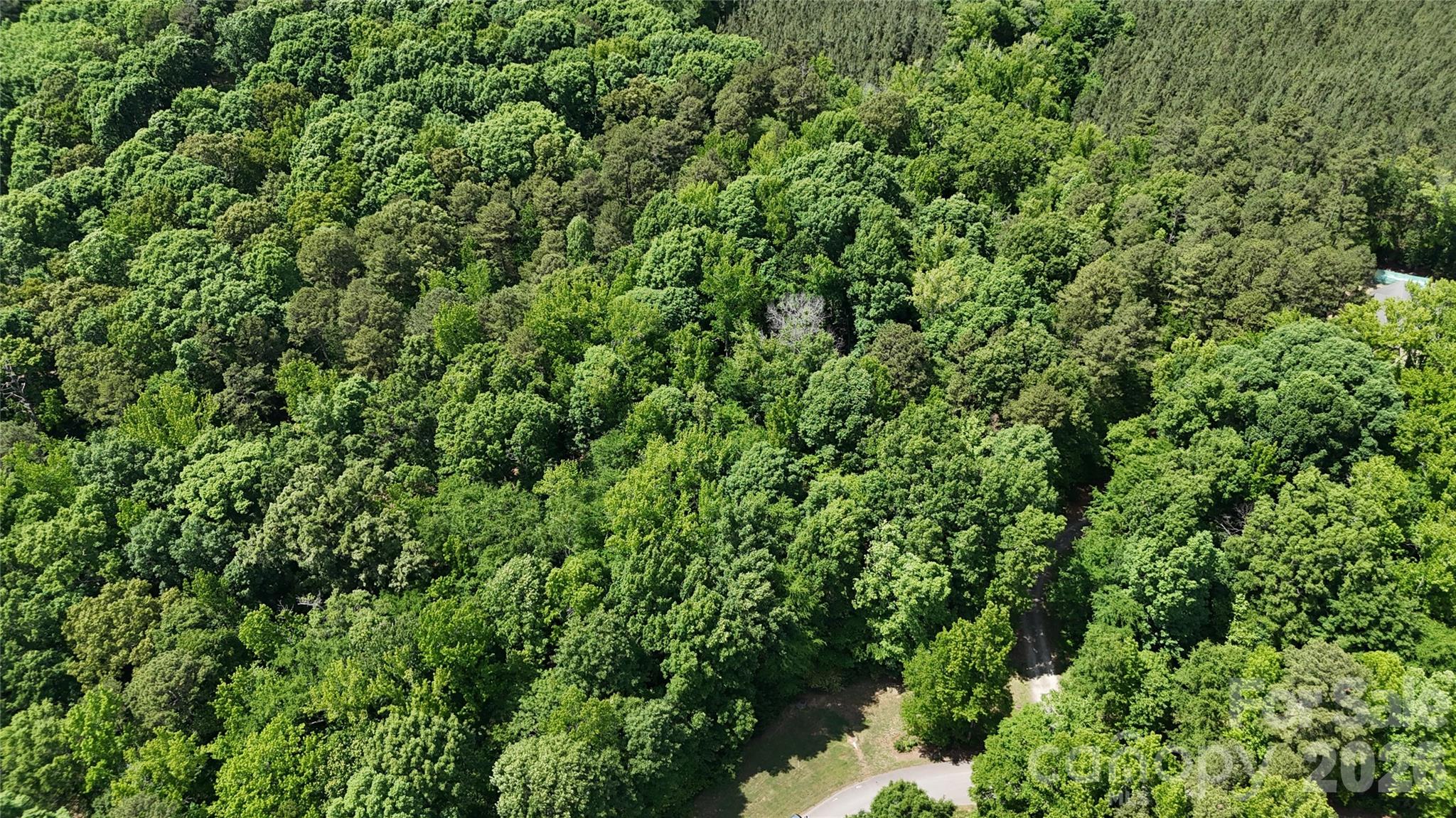 Moores Park - Land