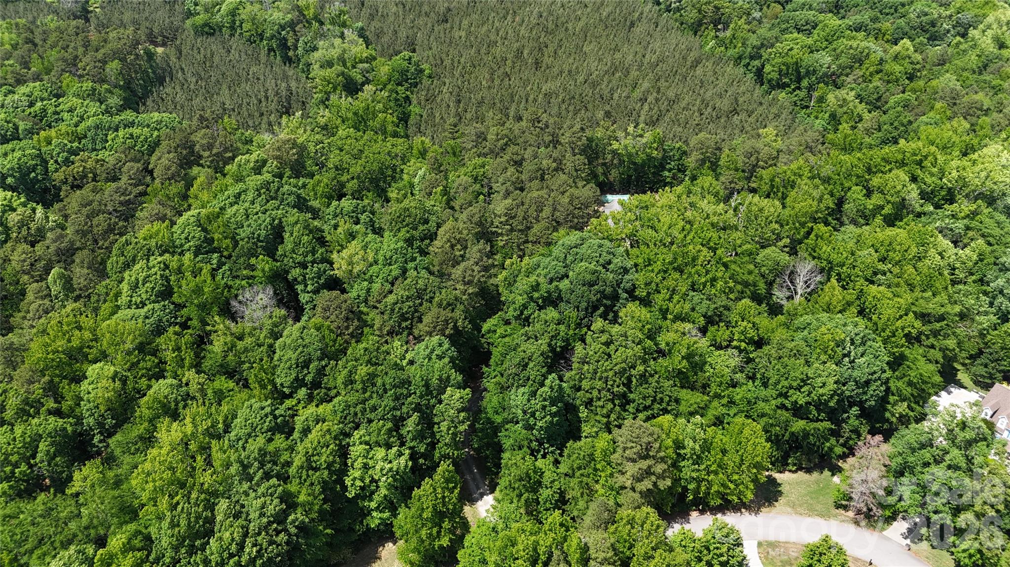 Moores Park - Land
