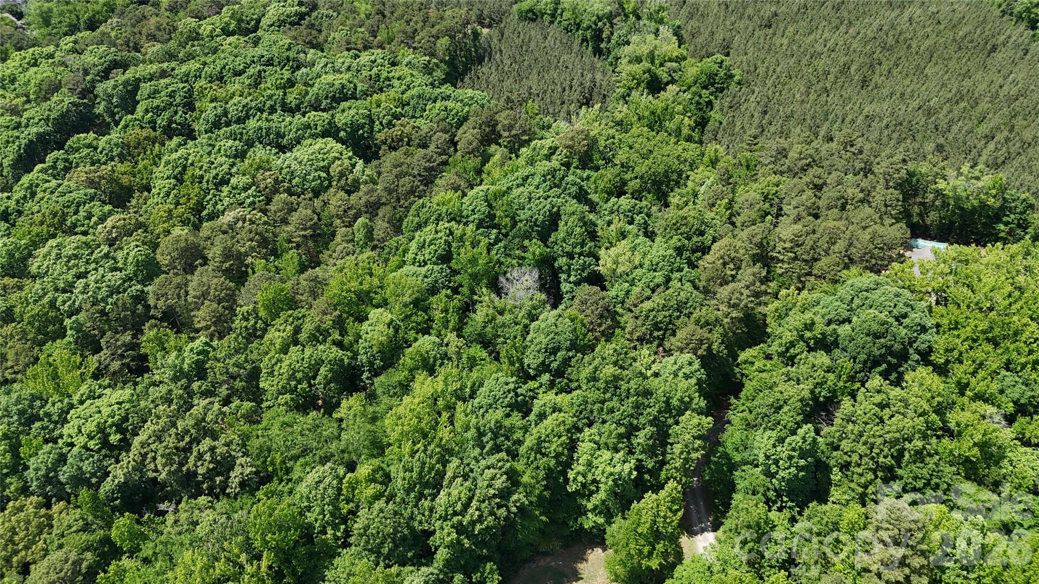 Moores Park - Land
