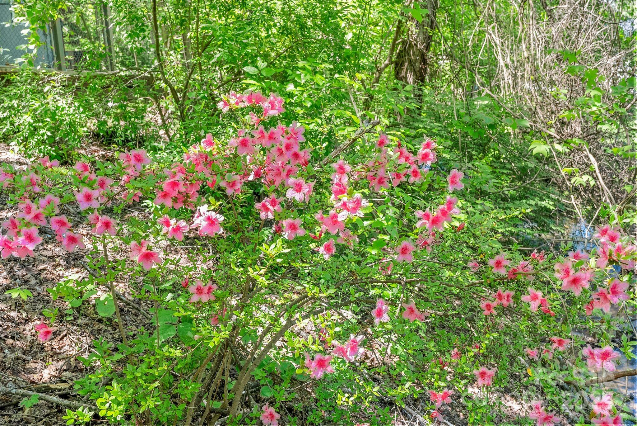 Wildwood - Residential