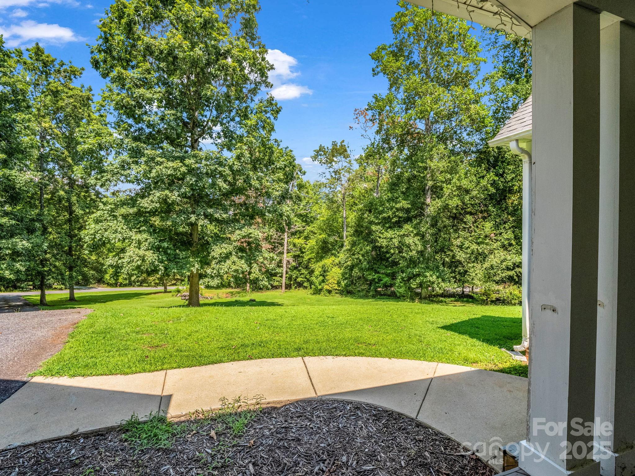 291 Holly Forest Drive