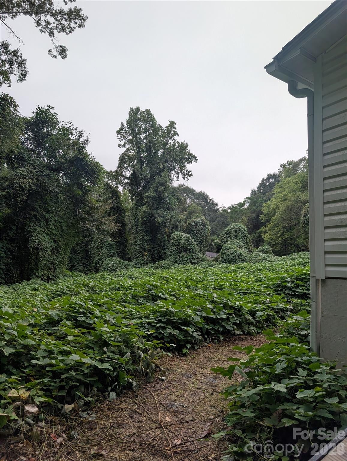 5732 Daybrook Court