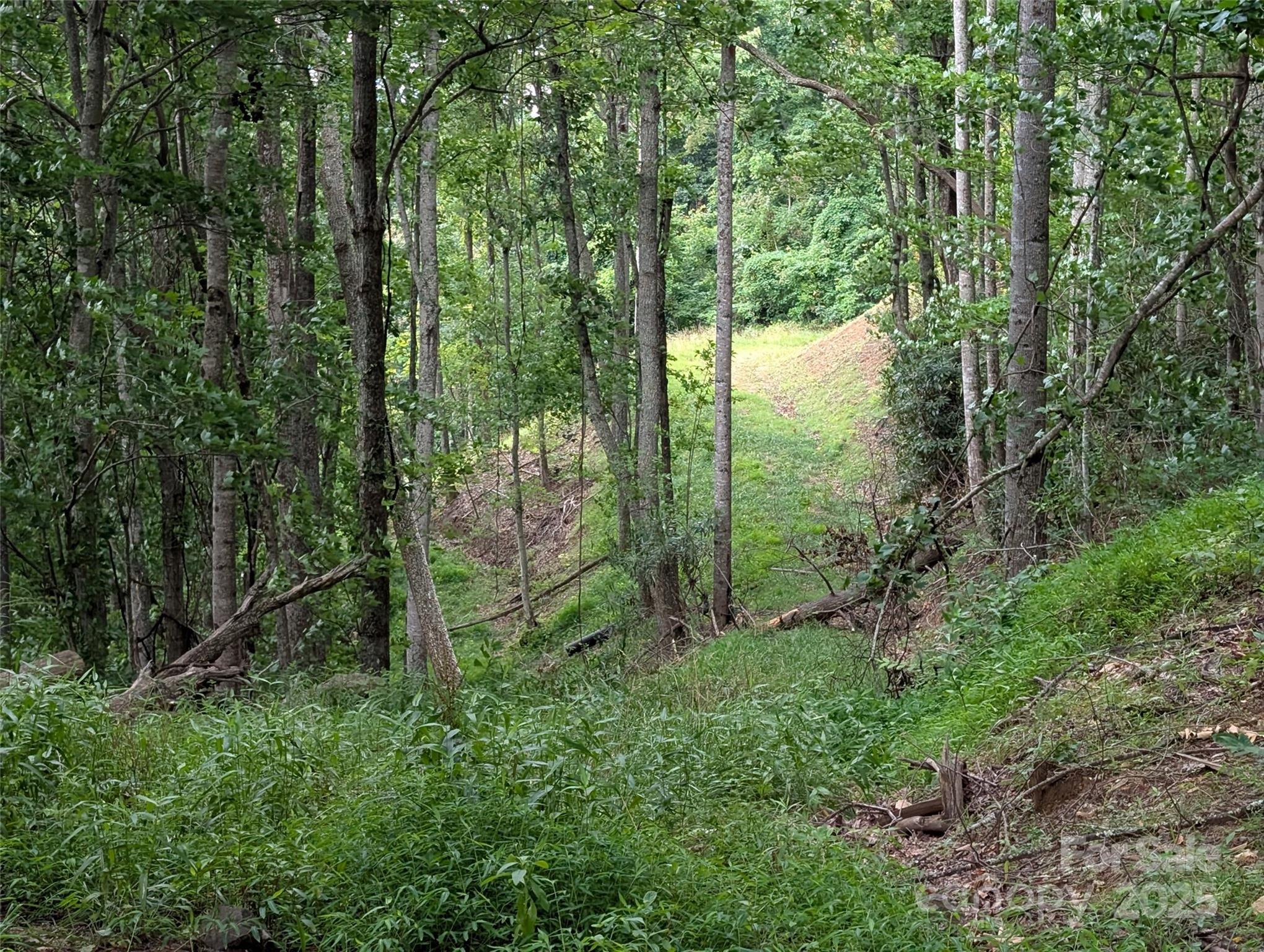 Mountain Park - Land