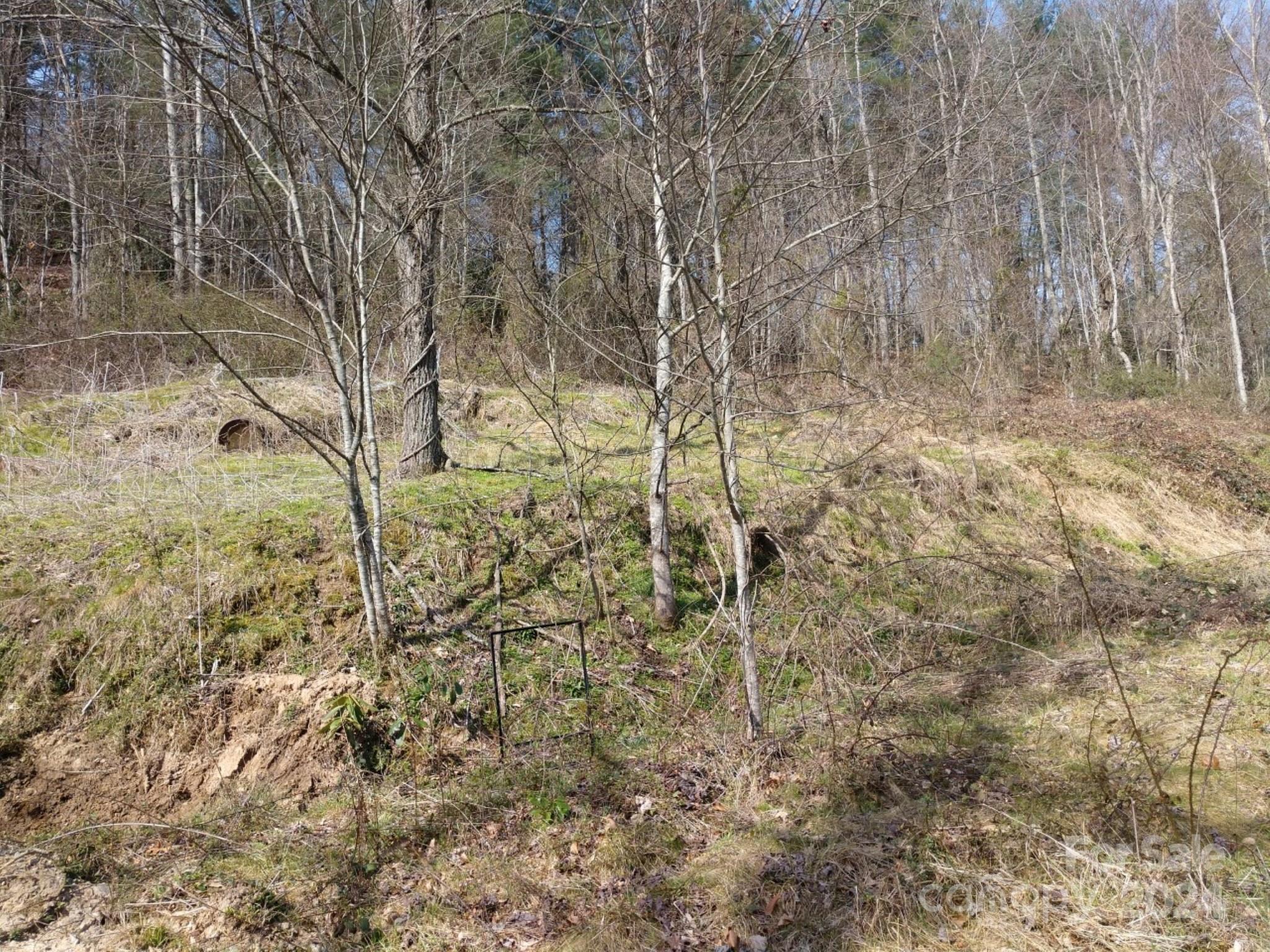 Hominy Fields - Land