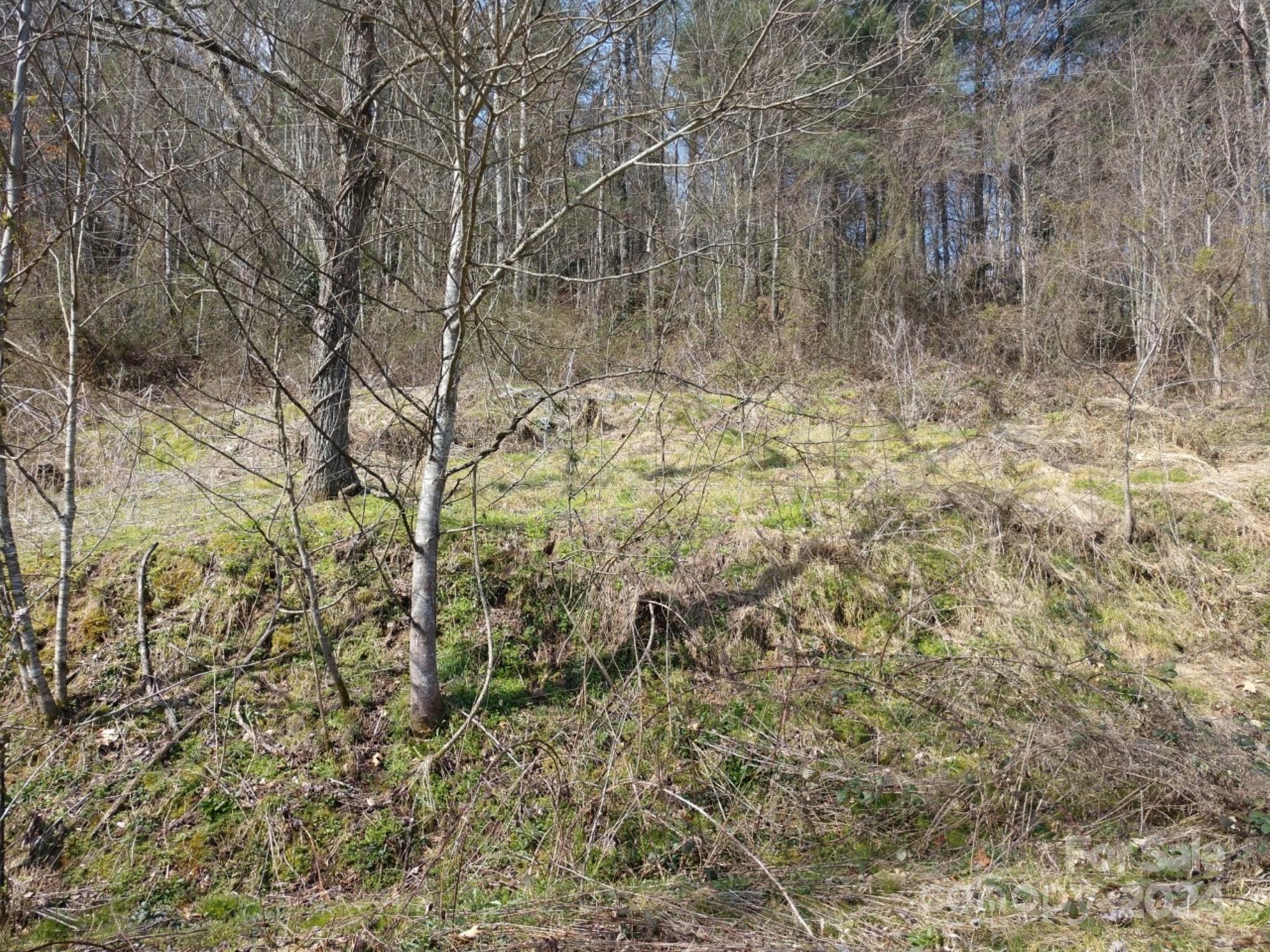 Hominy Fields - Land