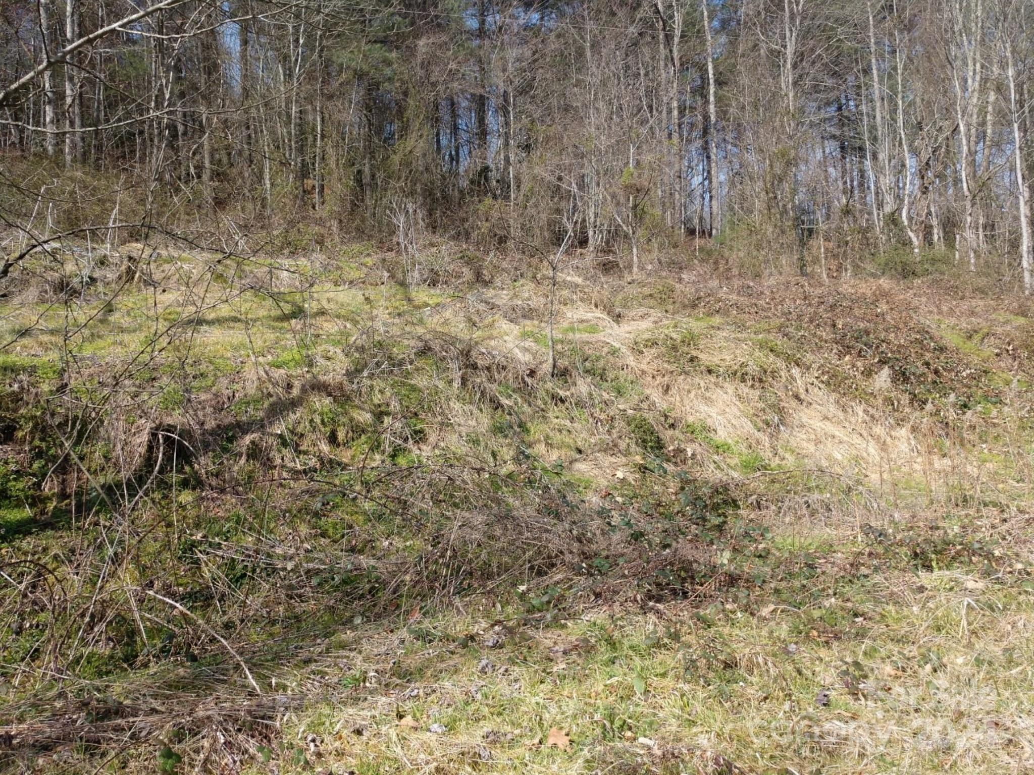 Hominy Fields - Land