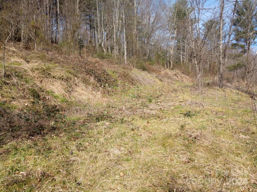 Welcome to Hominy Fields, this beautiful 7.63-acre parcel offers mountain views and easy access.  This parcel can be subdivided twice resulting in a total of three lots from the one provided that no lot shall be less than 1.5 acres. This property is located within 20 minutes to Asheville for an easy commute.