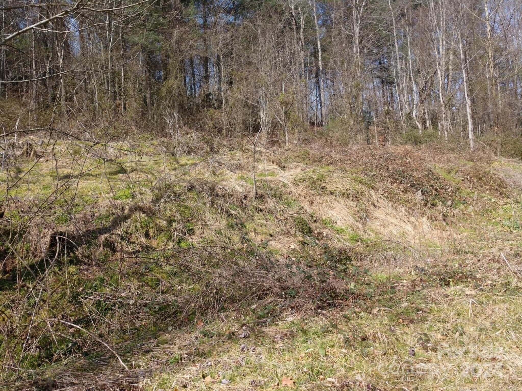 Hominy Fields - Land