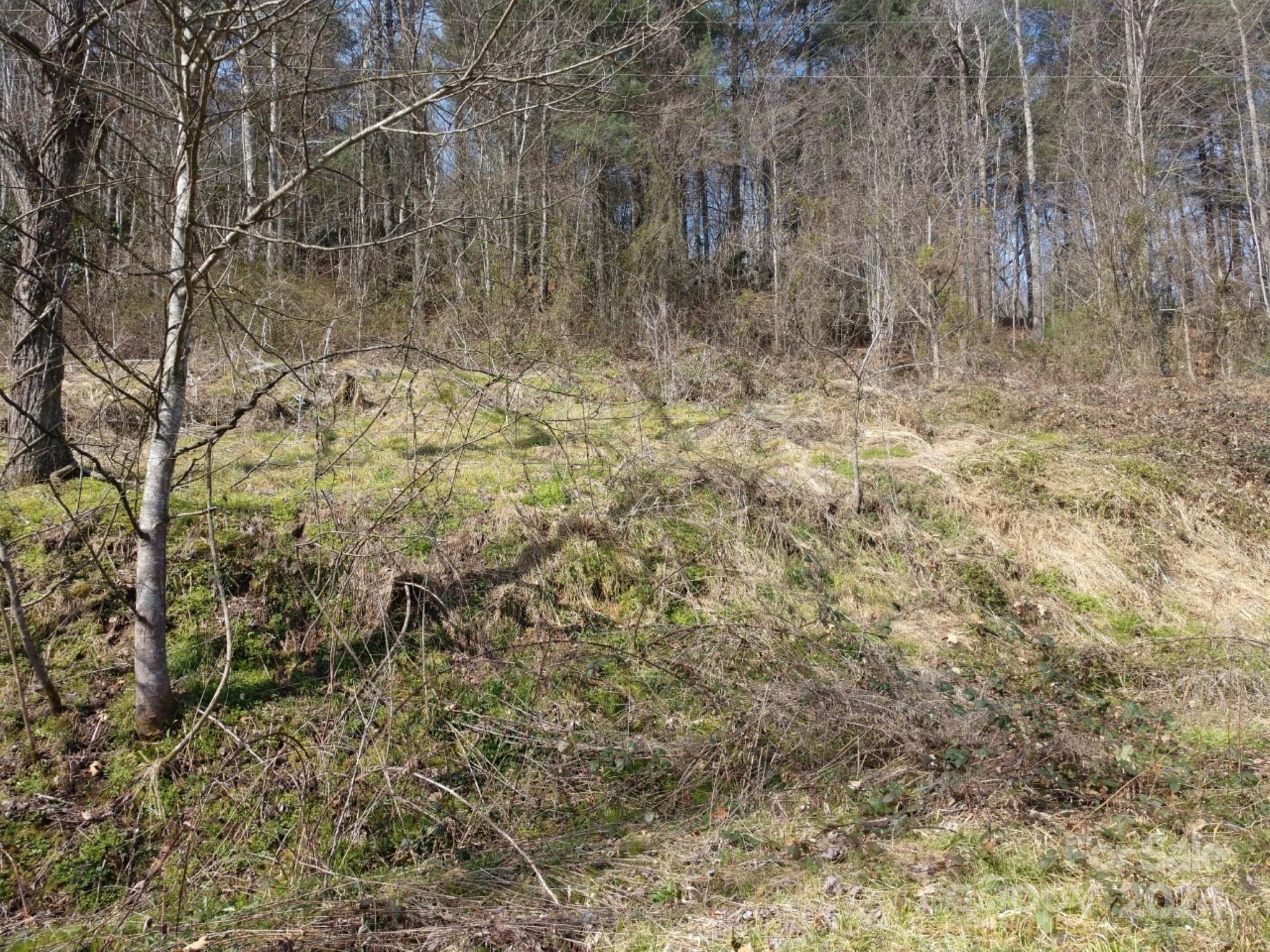 Hominy Fields - Land