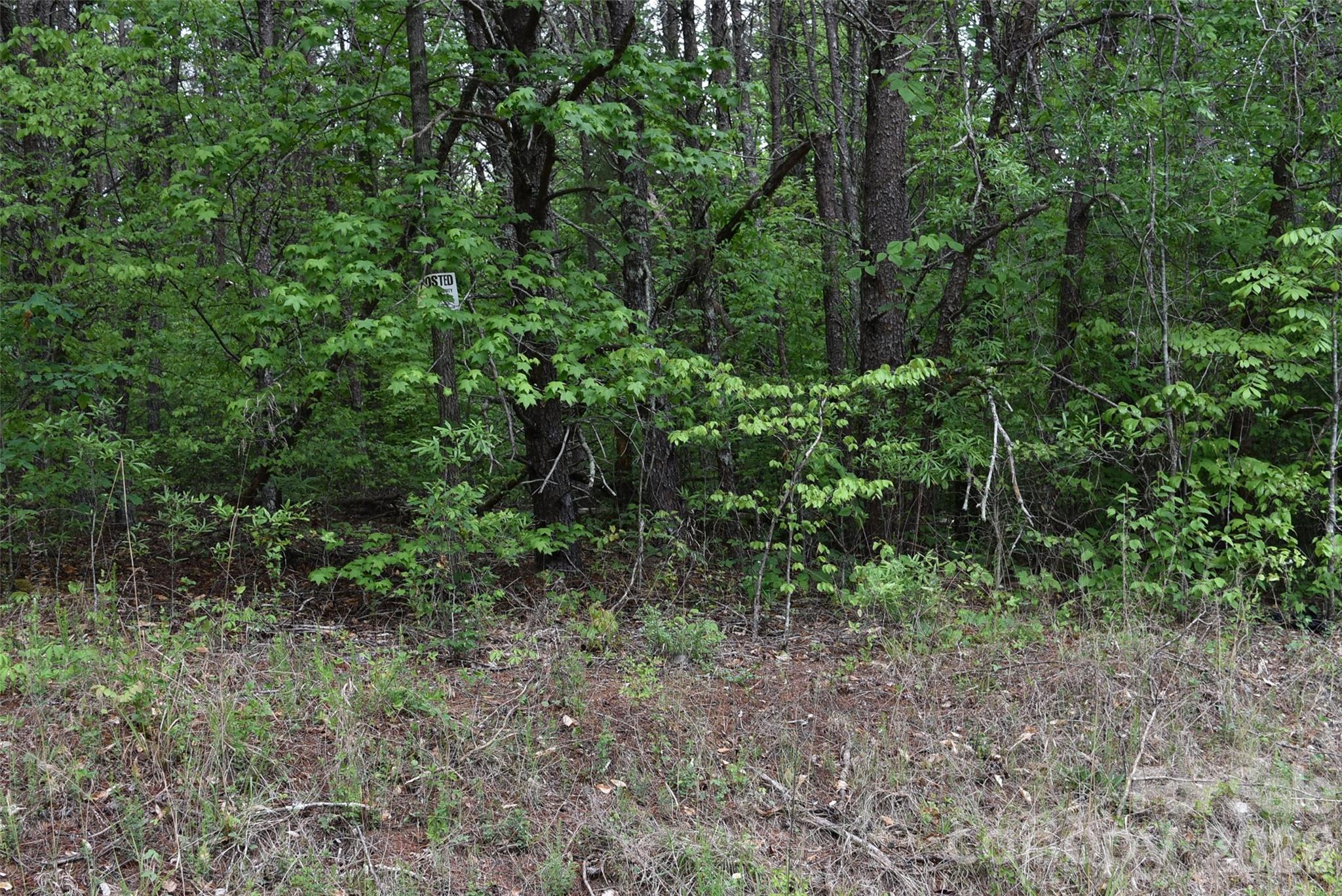 304 Moriah school Road