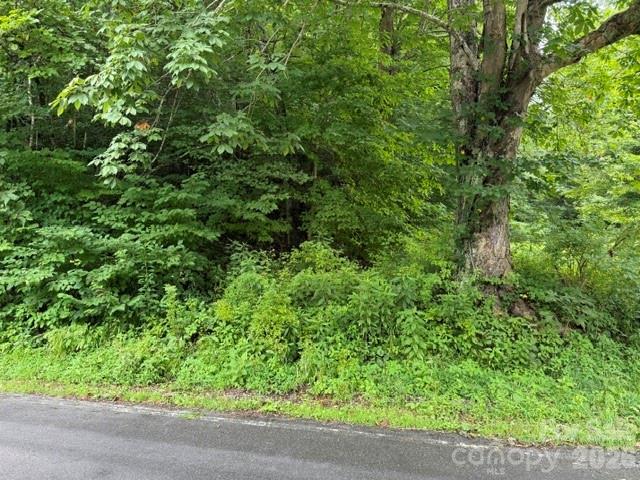 TBD Meadow Fork Road
