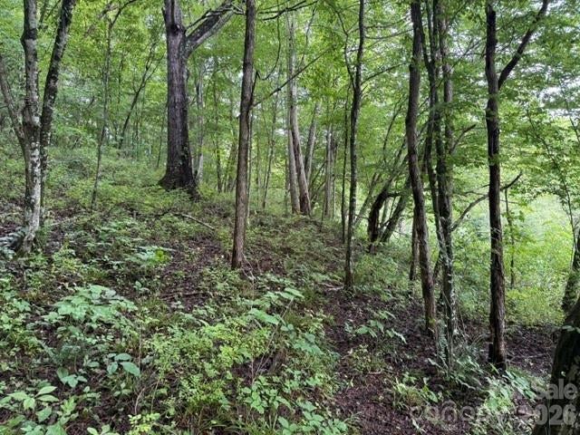TBD Meadow Fork Road, Hot Springs, NC, 28743