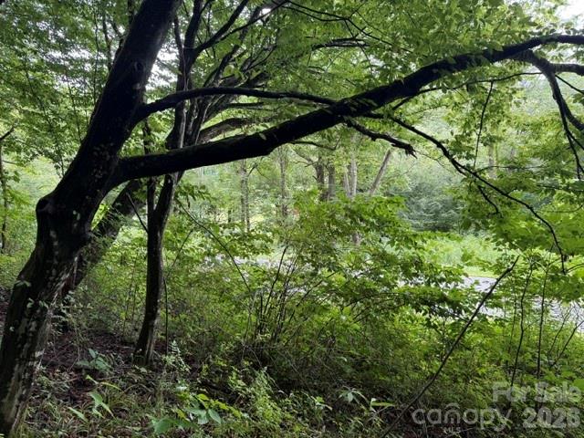 TBD Meadow Fork Road