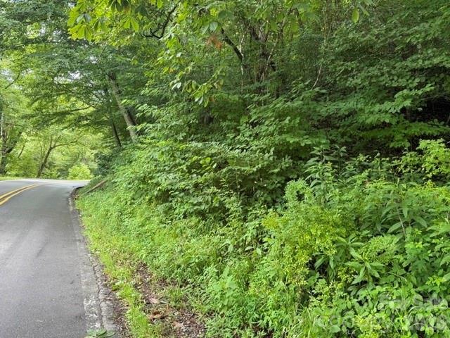 TBD Meadow Fork Road