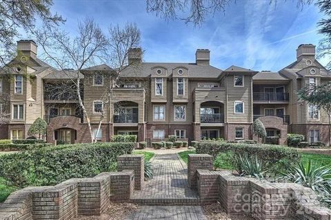 1101 E Morehead Street Charlotte NC 28204