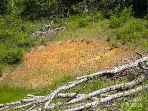 Asheville, North Carolina 28805, United States, ,Land,Active,160435